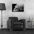 The Beauty of Bones 2 by Ben Heine - 24x16 acrylic wall art in a room