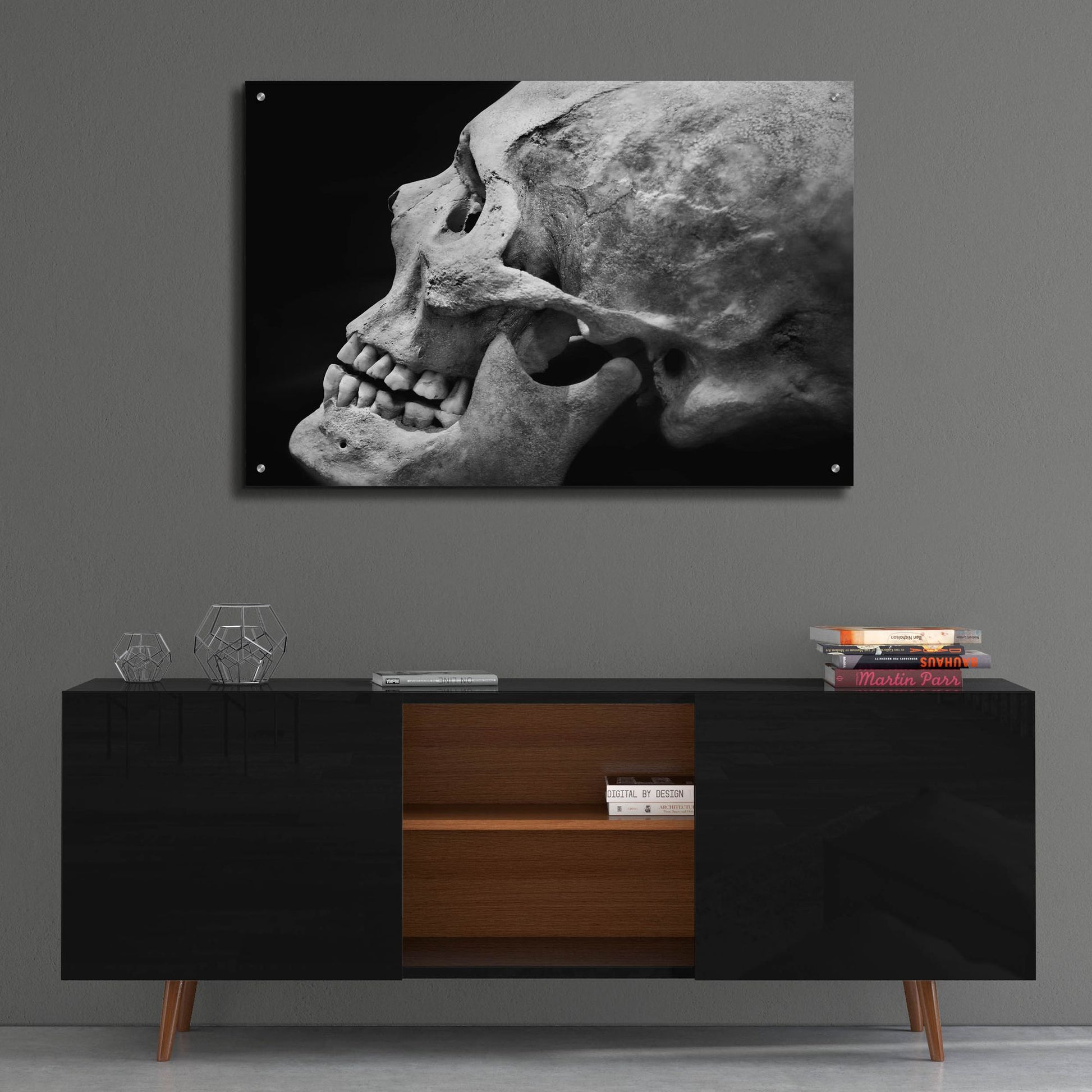 Epic Art 'The Beauty of Bones 2' by Ben Heine, Acrylic Glass Wall Art,36x24