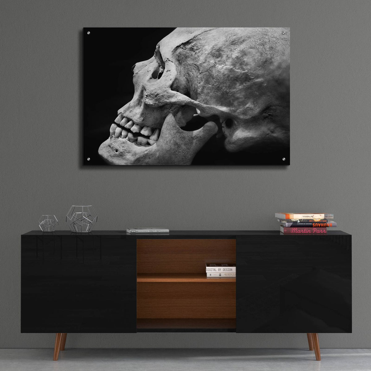 The Beauty of Bones 2 by Ben Heine - 36x24 acrylic wall art in a room