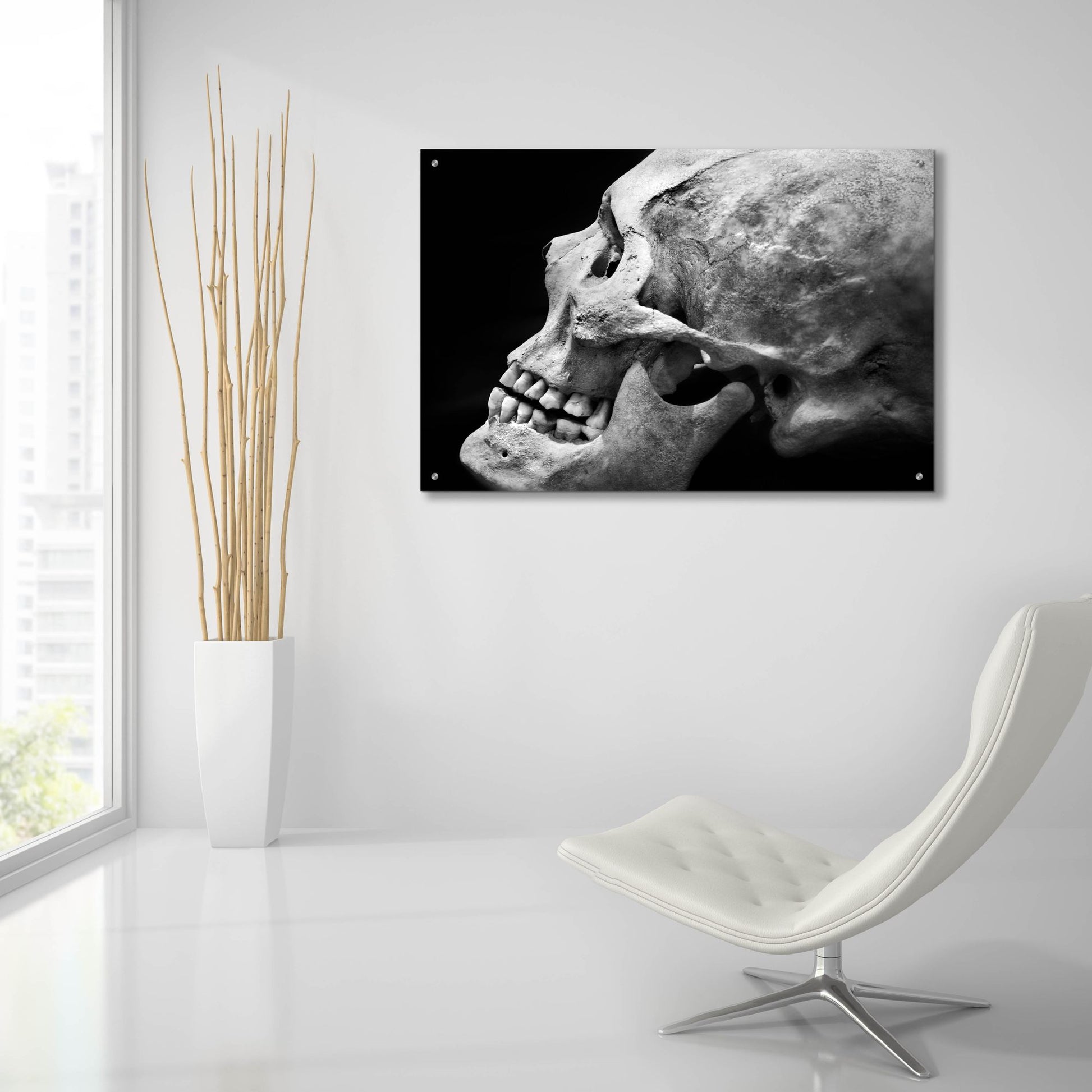 Epic Art 'The Beauty of Bones 2' by Ben Heine, Acrylic Glass Wall Art,36x24