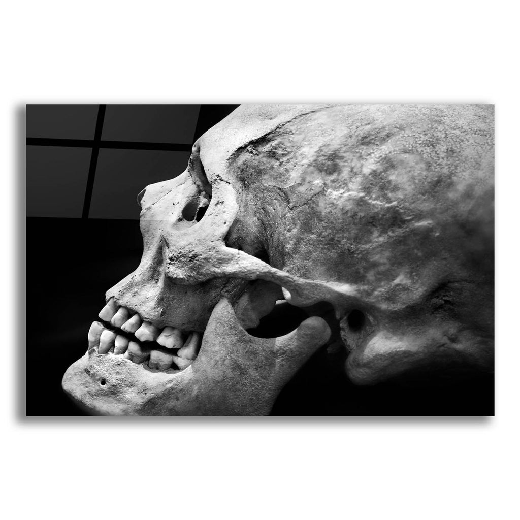 The Beauty of Bones 2 by Ben Heine acrylic glass wall art
