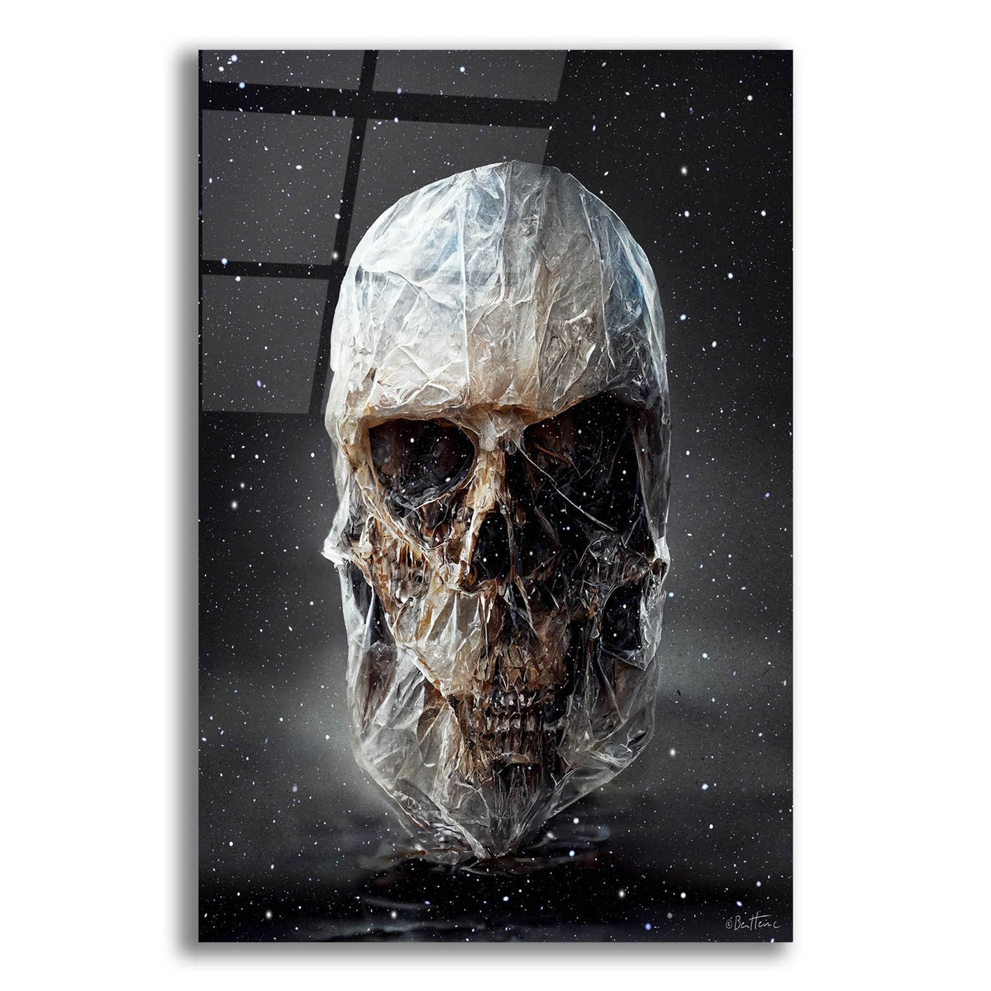 Epic Art 'Cosmo Skull' by Ben Heine, Acrylic Glass Wall Art,12x16