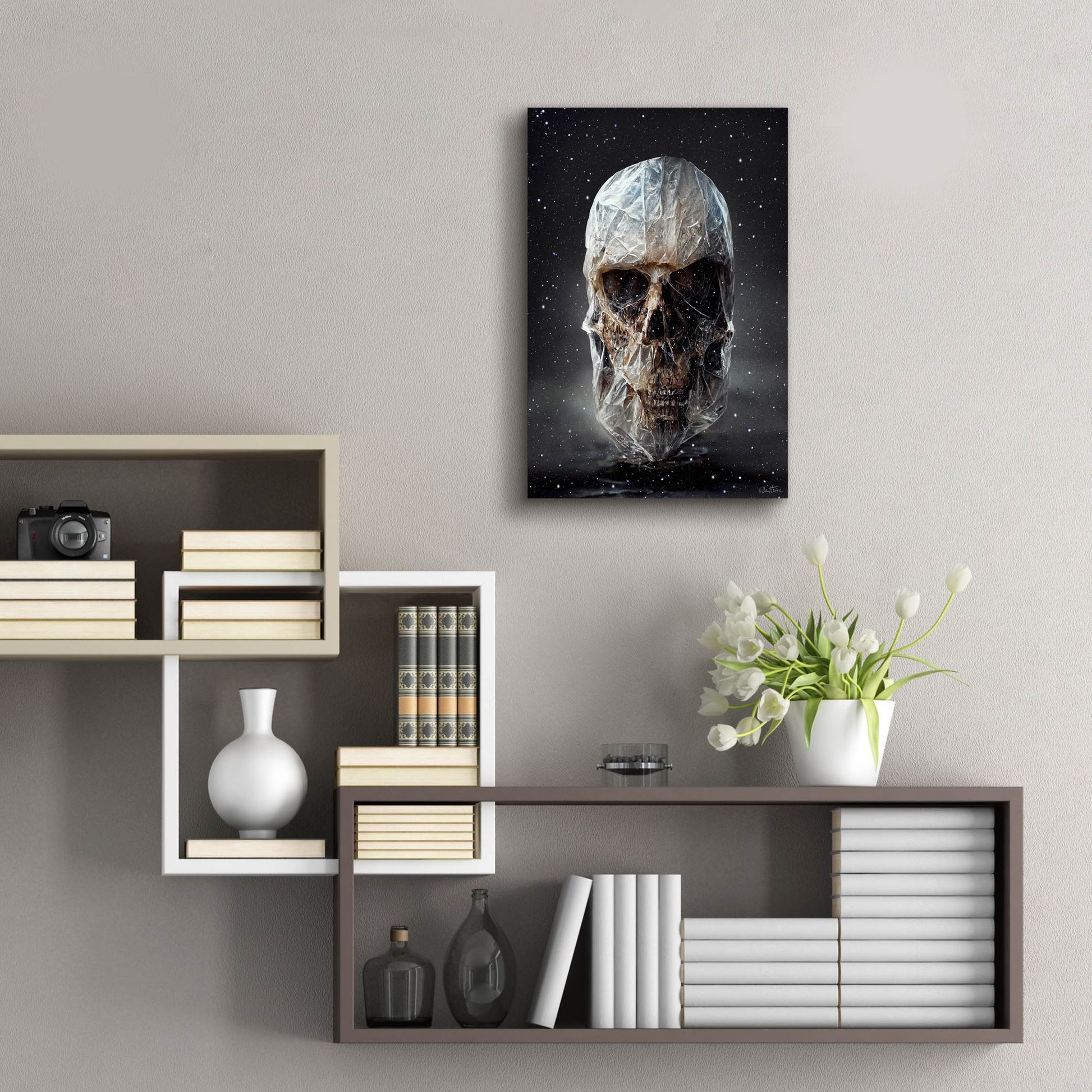 Epic Art 'Cosmo Skull' by Ben Heine, Acrylic Glass Wall Art,16x24