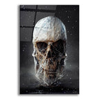 Cosmo Skull by Ben Heine acrylic glass wall art