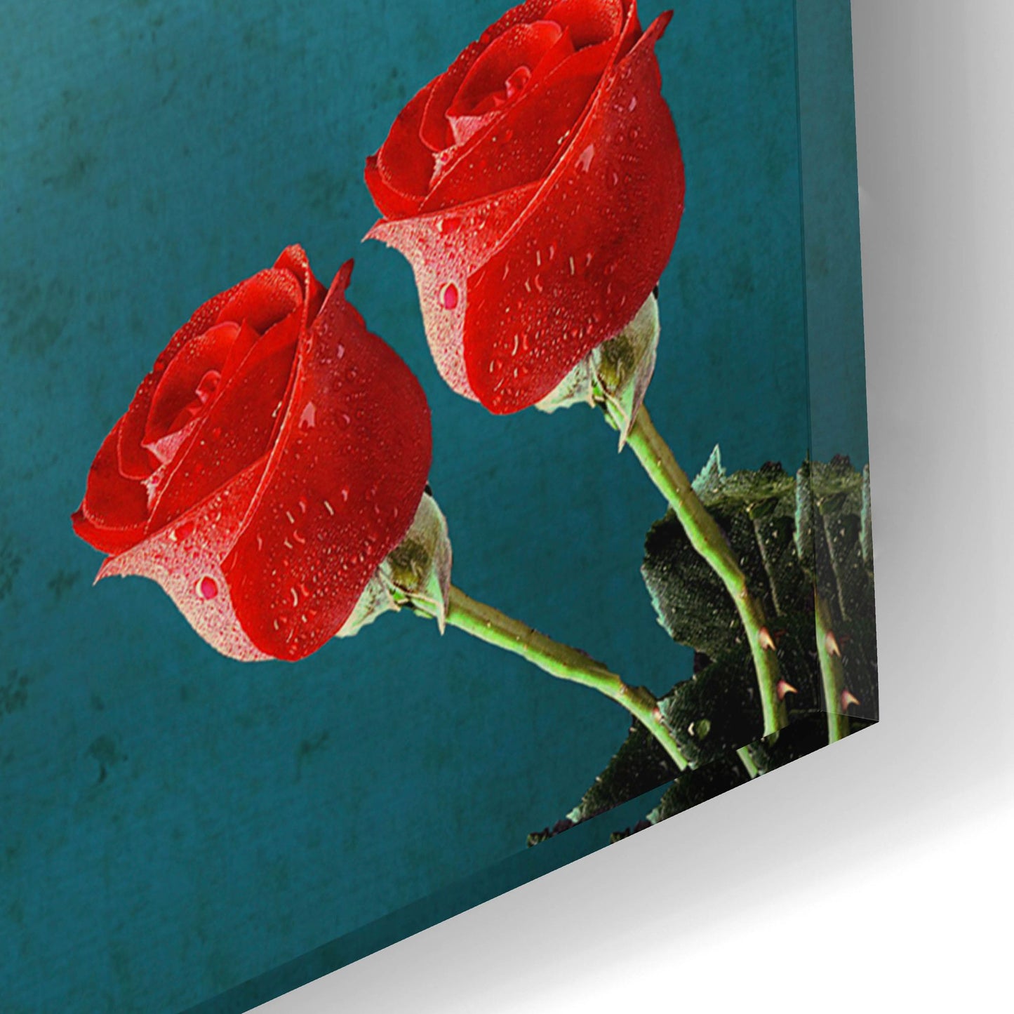 Epic Art 'War And Roses' by Elo Marc, Acrylic Glass Wall Art,12x16