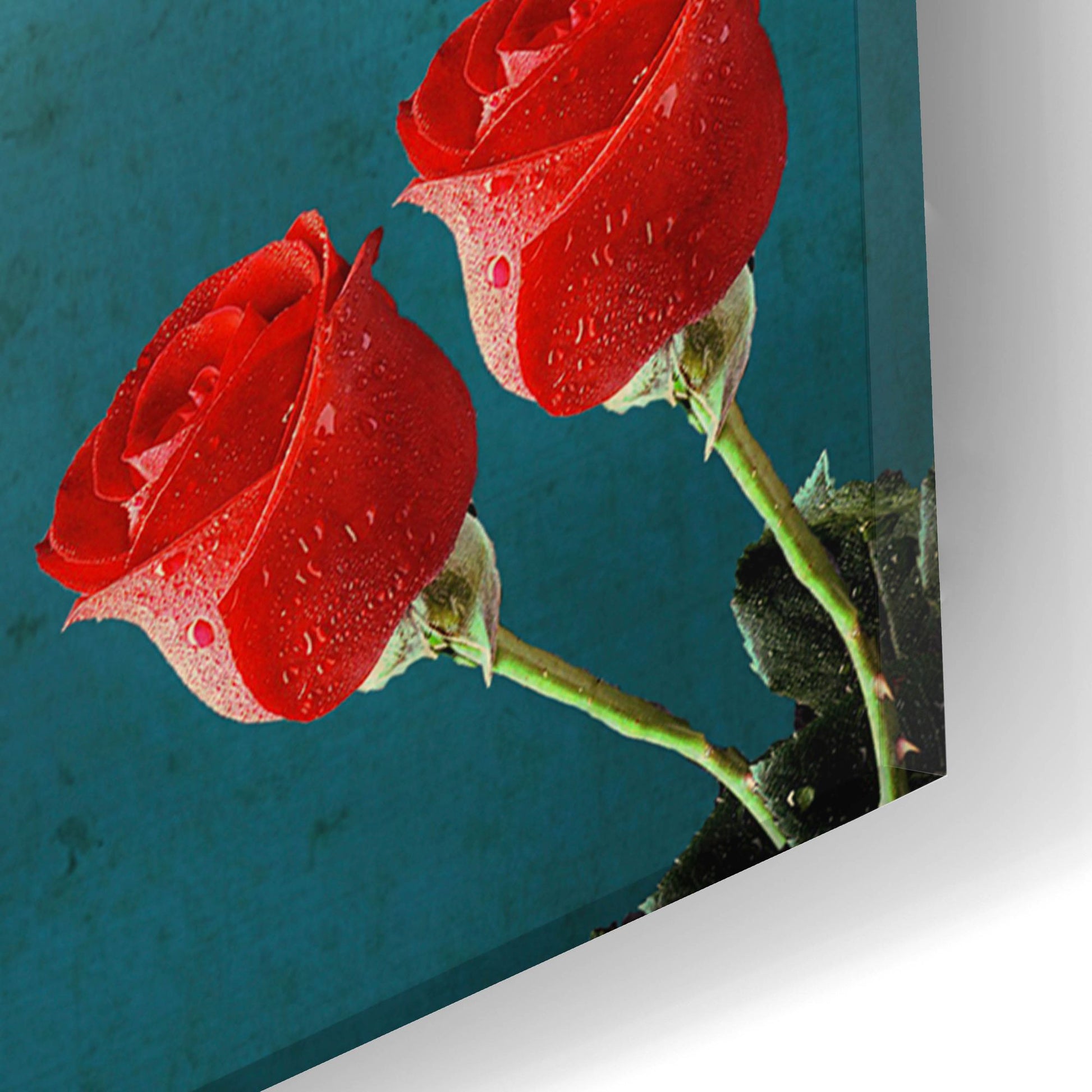 Epic Art 'War And Roses' by Elo Marc, Acrylic Glass Wall Art,16x24