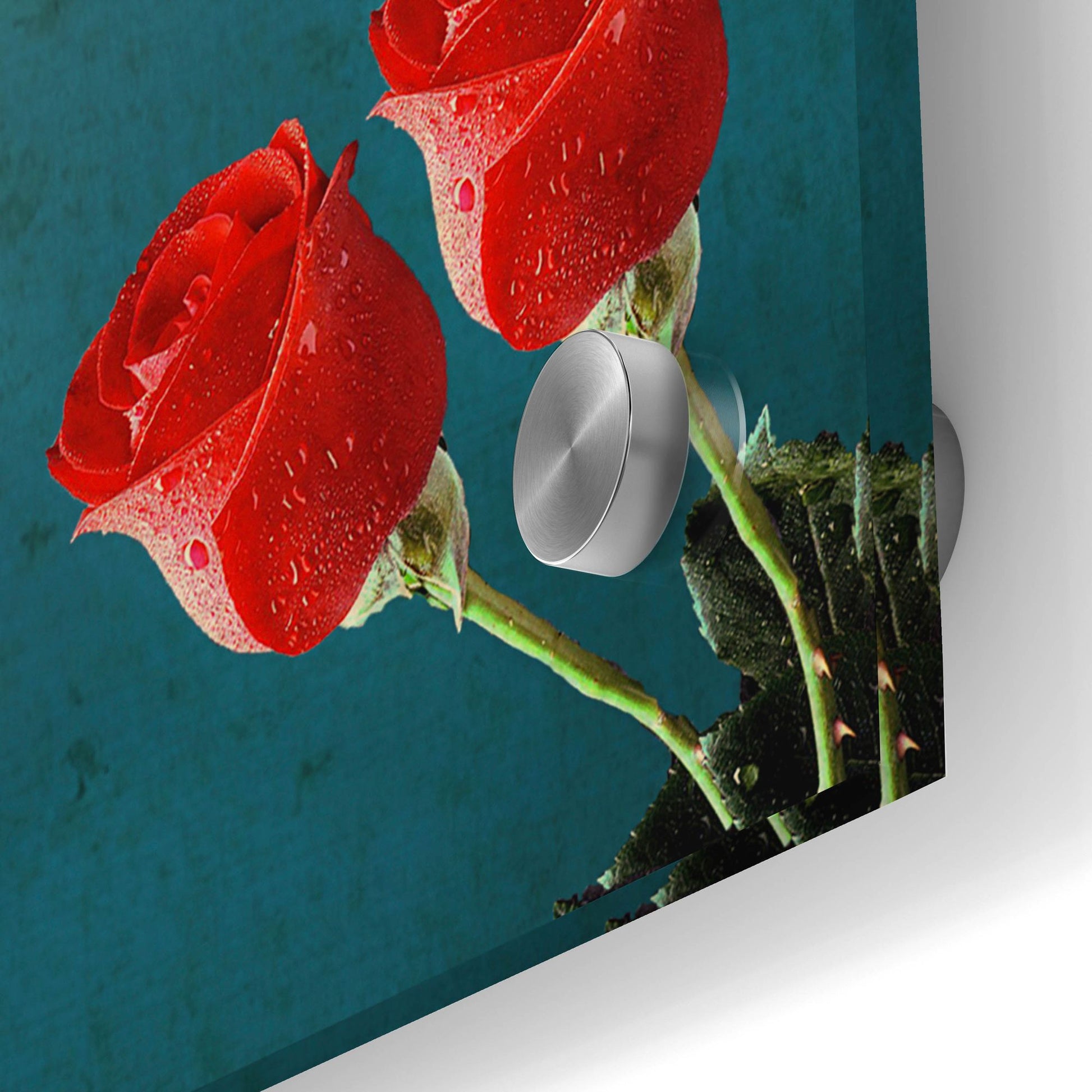 Epic Art 'War And Roses' by Elo Marc, Acrylic Glass Wall Art,24x36