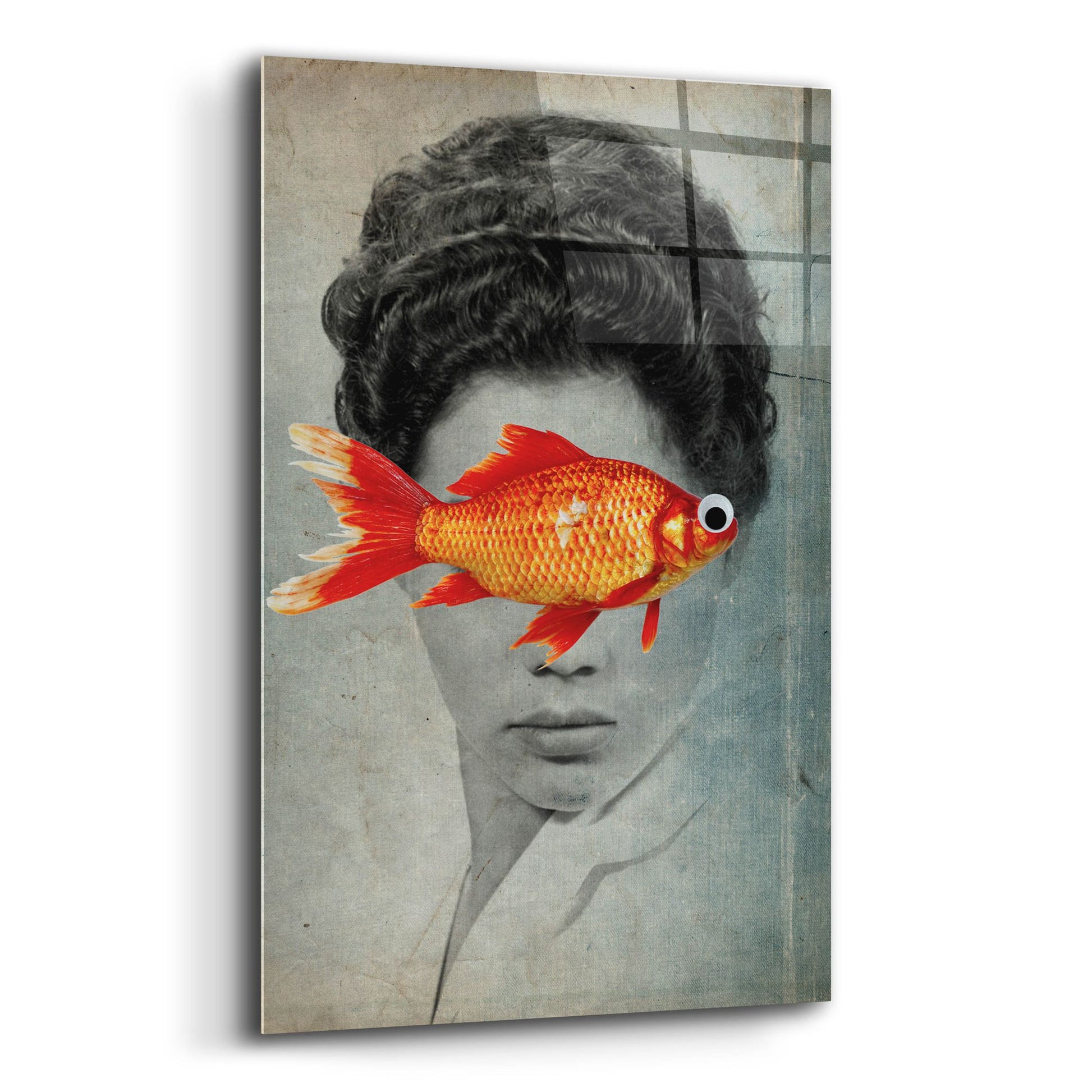 Epic Art 'Fish Eye' by Elo Marc, Acrylic Glass Wall Art,12x16