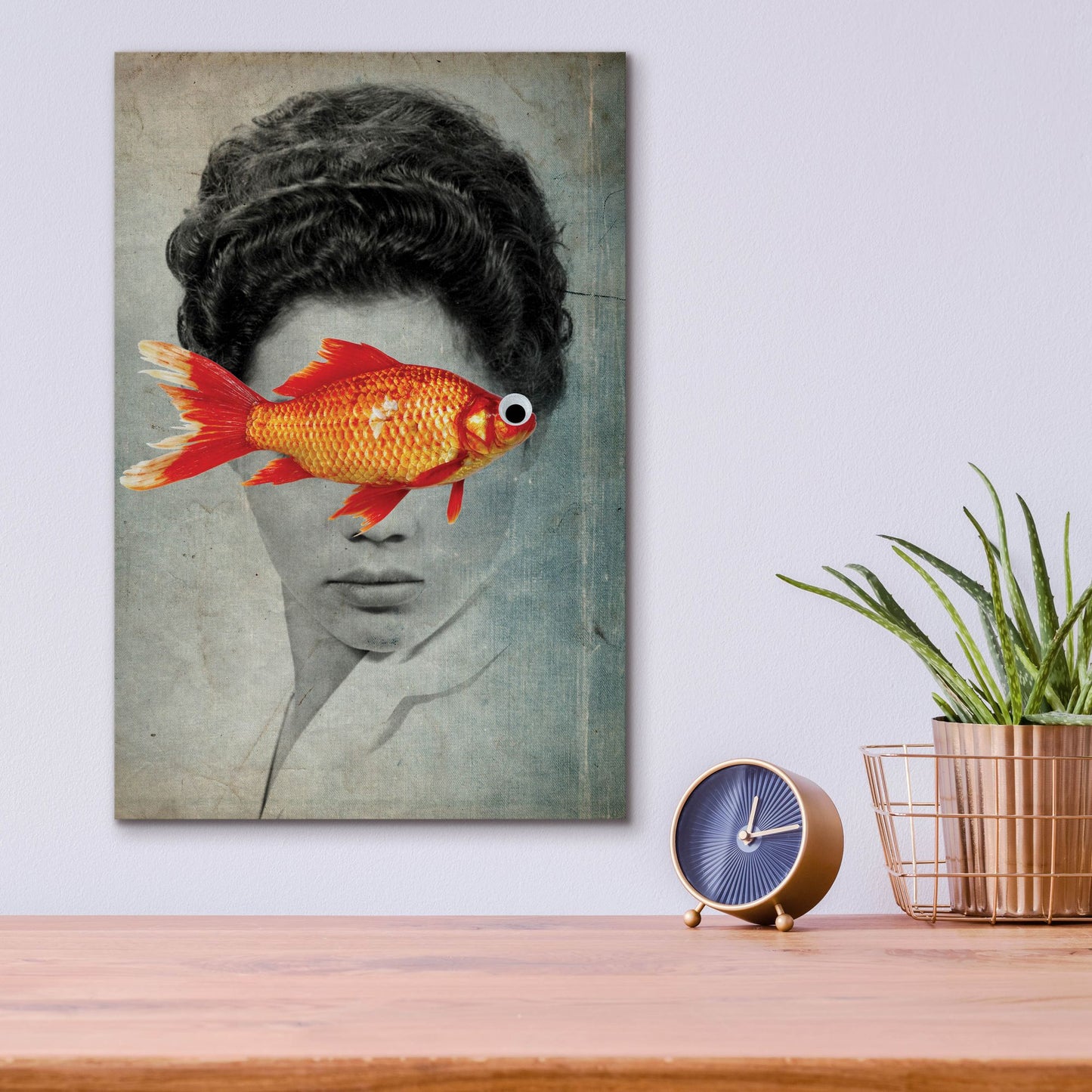 Epic Art 'Fish Eye' by Elo Marc, Acrylic Glass Wall Art,12x16