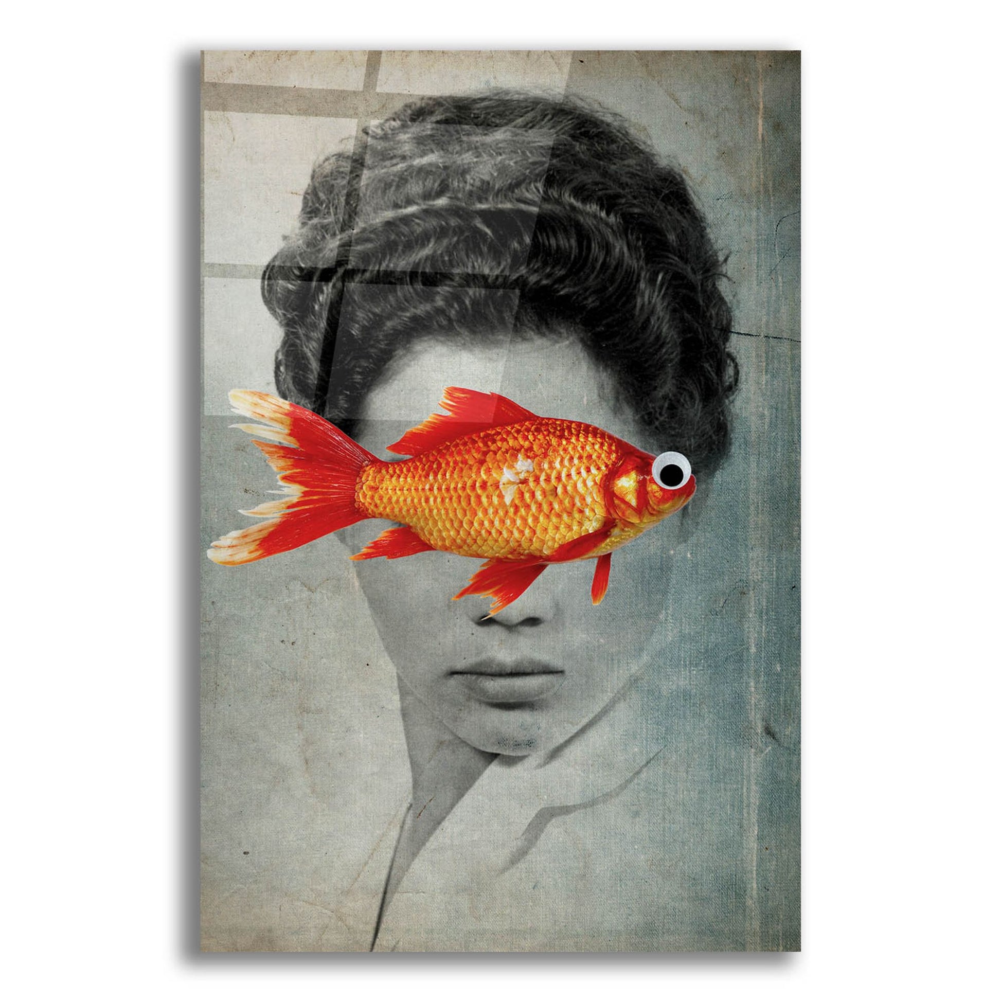 Epic Art 'Fish Eye' by Elo Marc, Acrylic Glass Wall Art,12x16