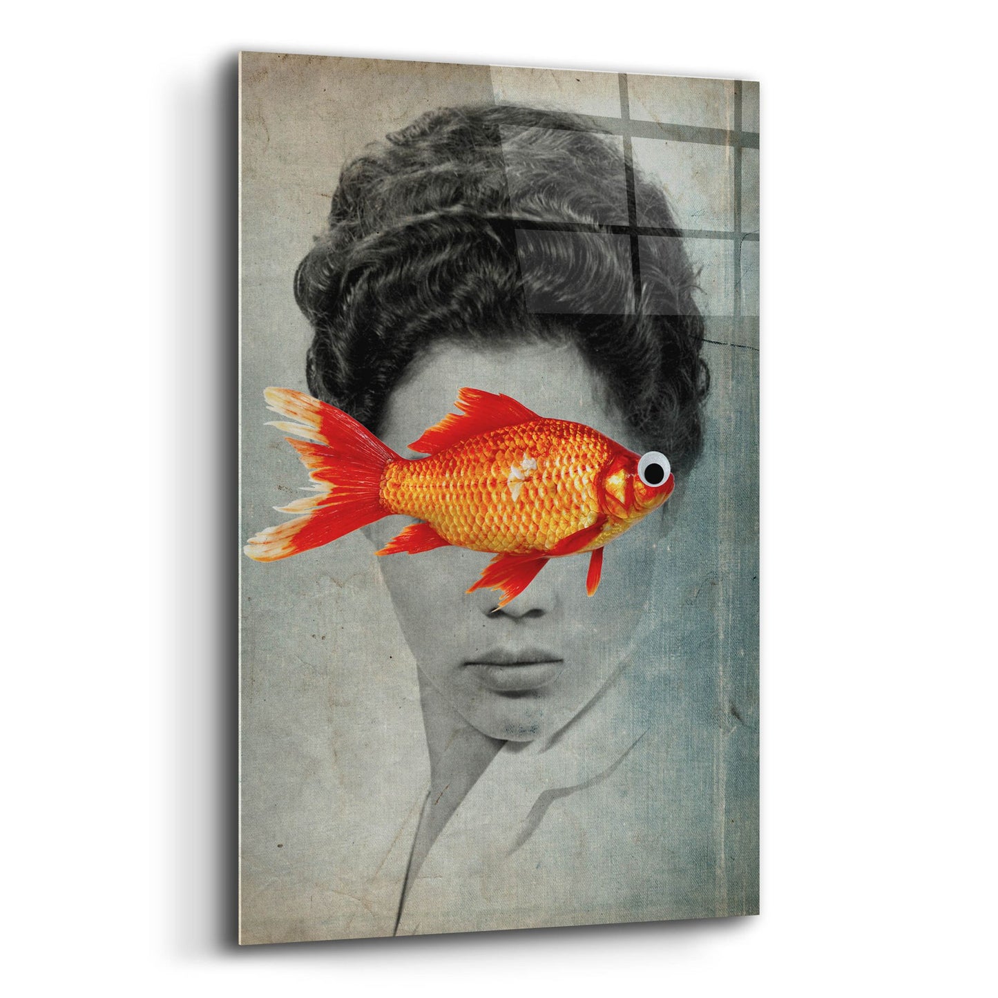 Epic Art 'Fish Eye' by Elo Marc, Acrylic Glass Wall Art,16x24