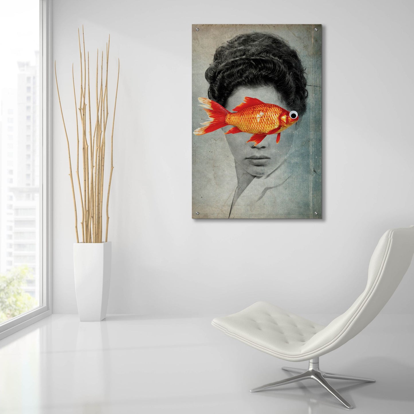 Epic Art 'Fish Eye' by Elo Marc, Acrylic Glass Wall Art,24x36