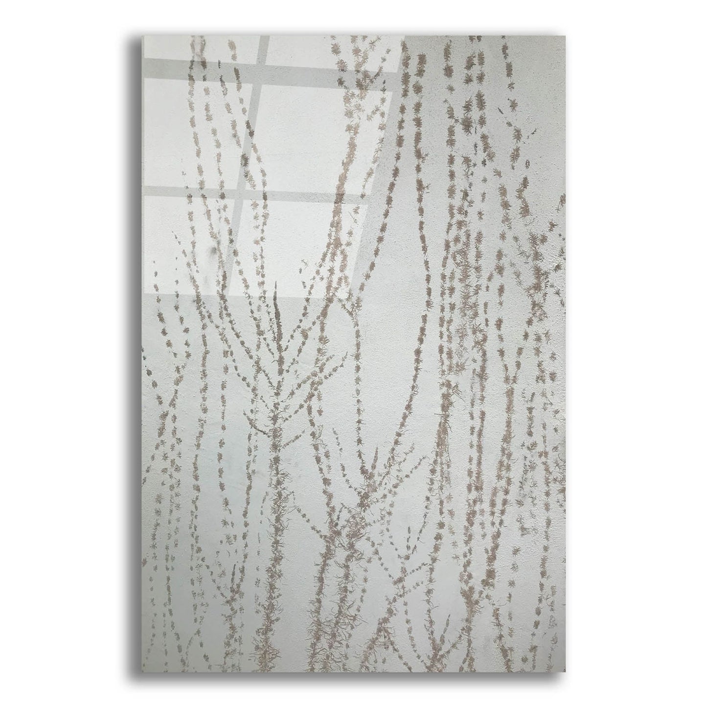 Epic Art 'Stucco Minus Vine 1' by IMB, Acrylic Glass Wall Art,12x16