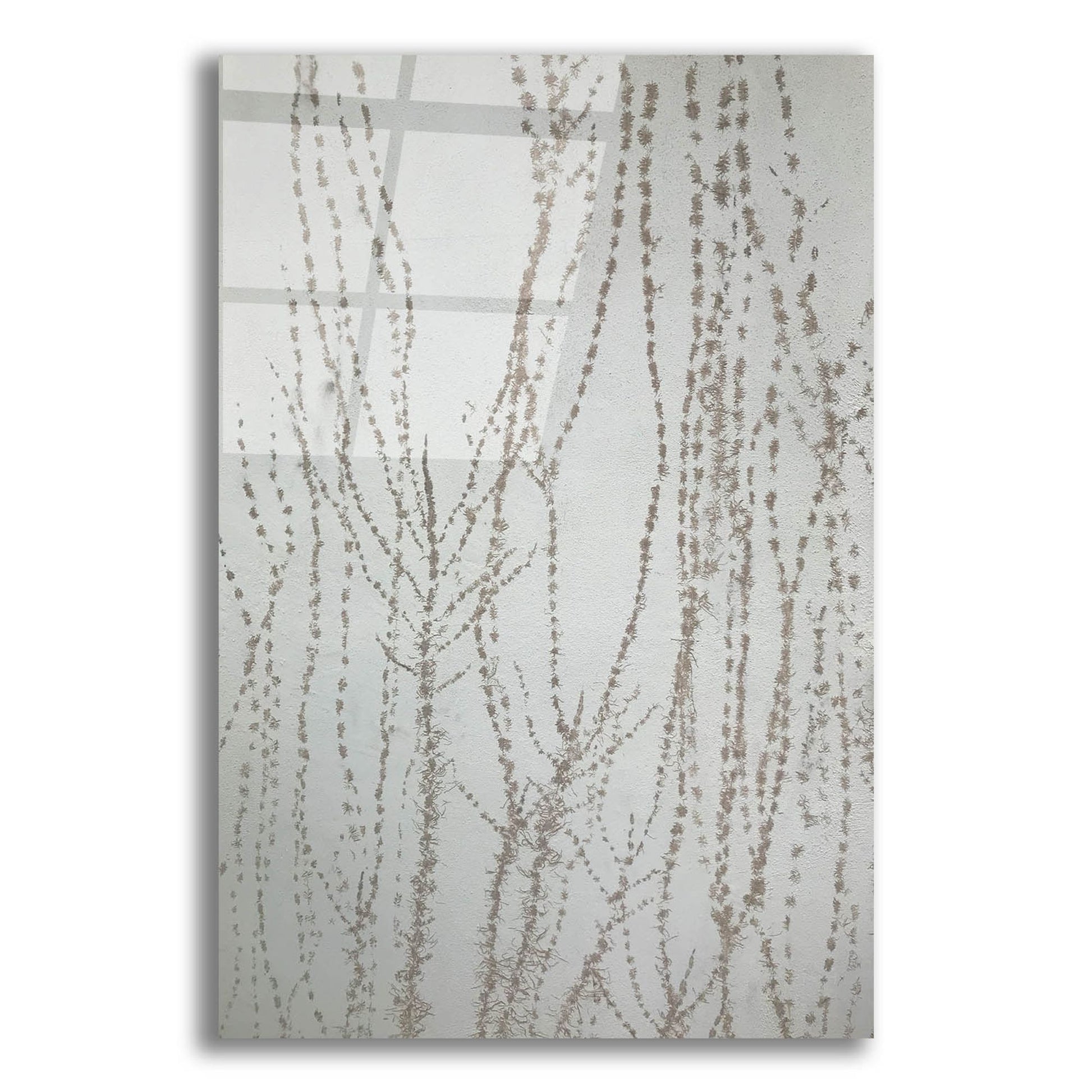 Epic Art 'Stucco Minus Vine 1' by IMB, Acrylic Glass Wall Art,16x24