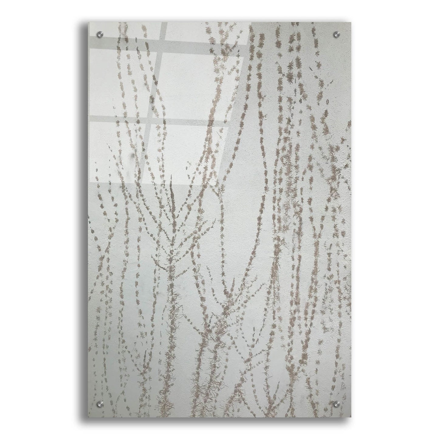 Epic Art 'Stucco Minus Vine 1' by IMB, Acrylic Glass Wall Art,24x36