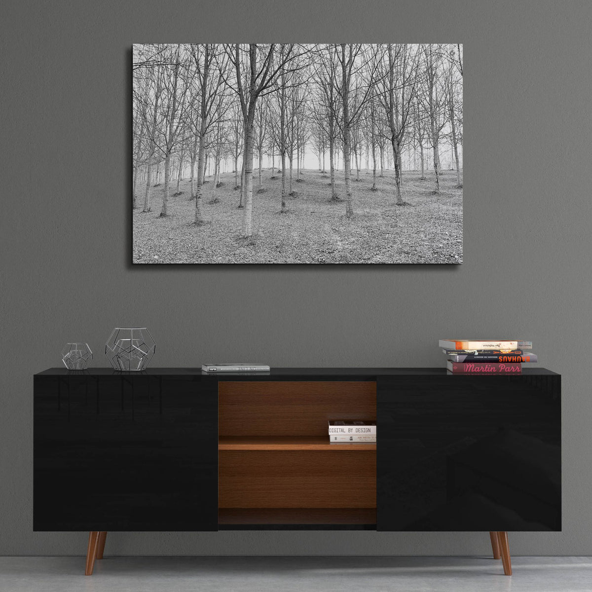Epic Art 'Nature Reorganised' by IMB, Acrylic Glass Wall Art,36x24