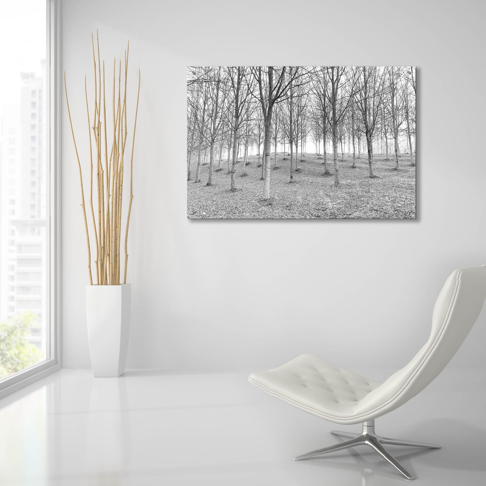 Epic Art 'Nature Reorganised' by IMB, Acrylic Glass Wall Art,36x24