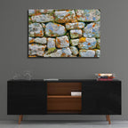 Epic Art 'Mossed Walls Never Roll' by IMB, Acrylic Glass Wall Art,36x24
