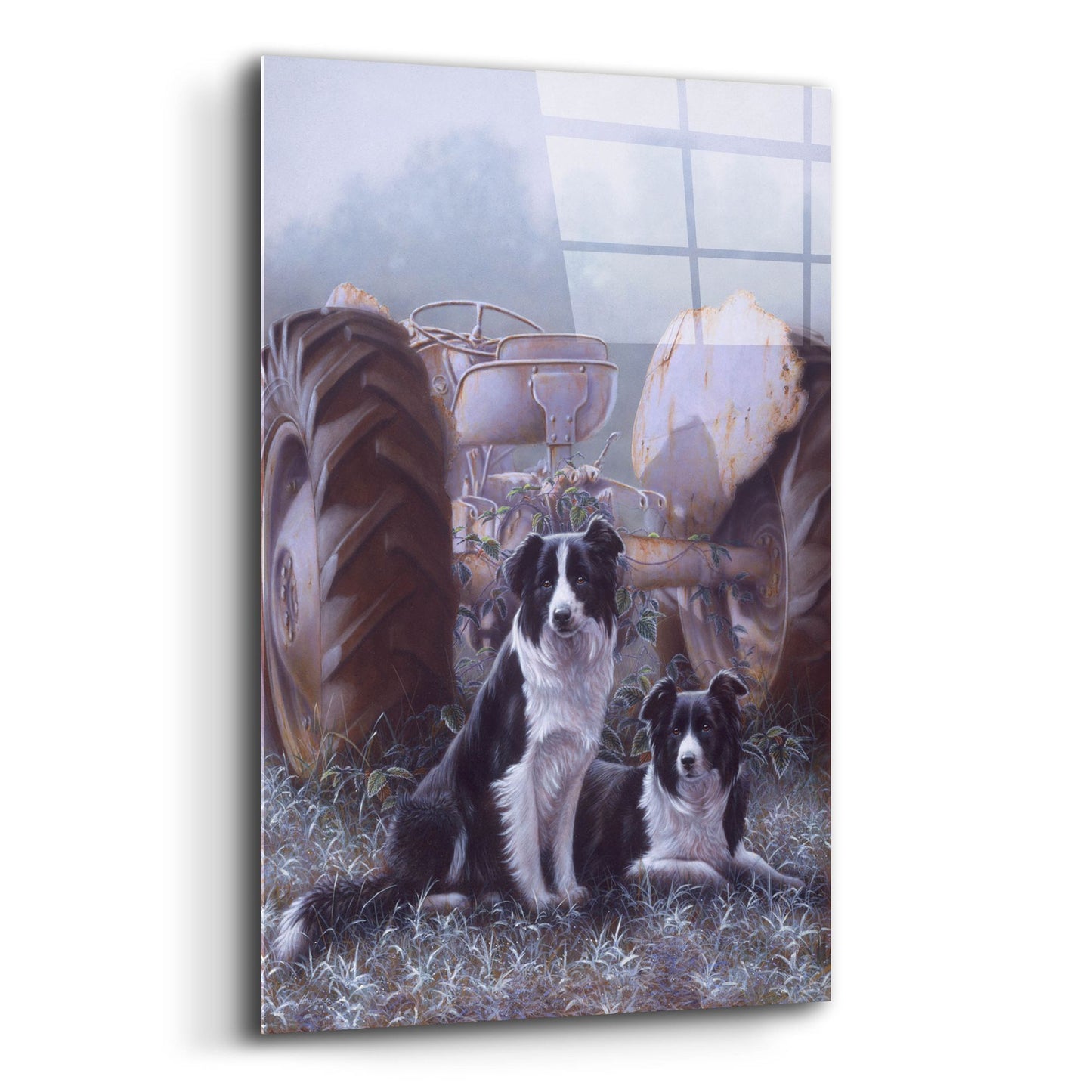 Epic Art 'Border Collies Heroes Of The Hills' by John Silver, Acrylic Glass Wall Art,12x16