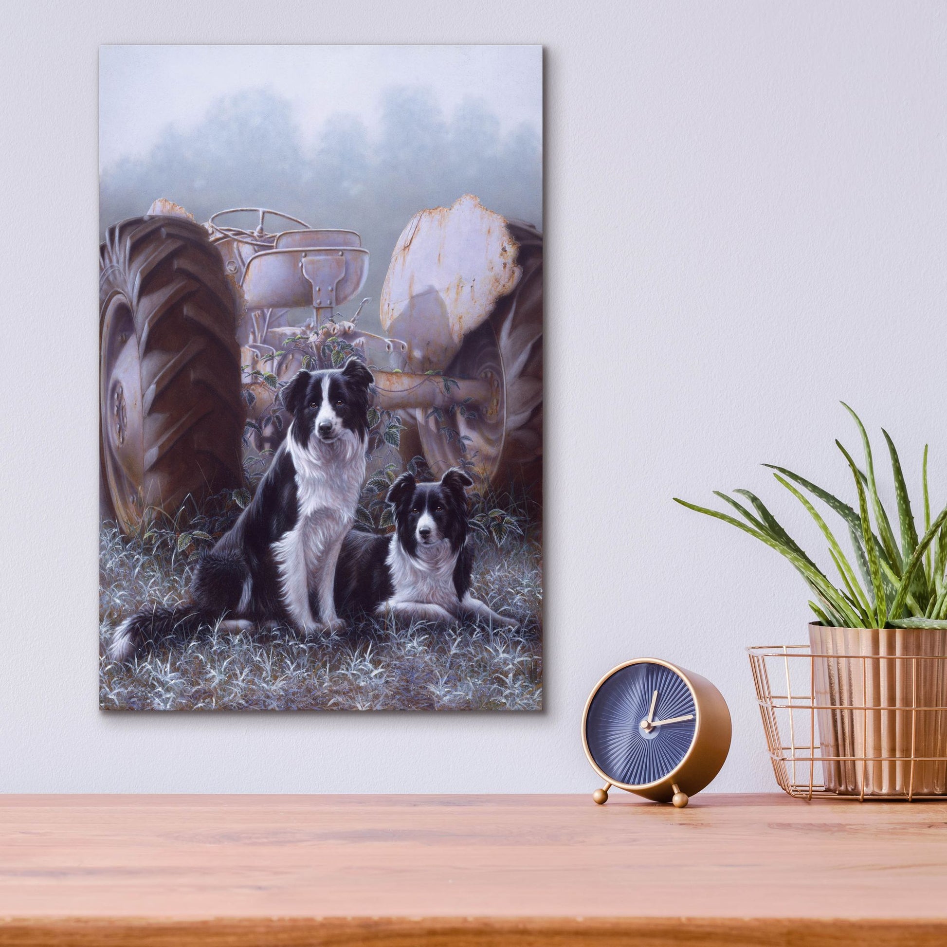 Epic Art 'Border Collies Heroes Of The Hills' by John Silver, Acrylic Glass Wall Art,12x16