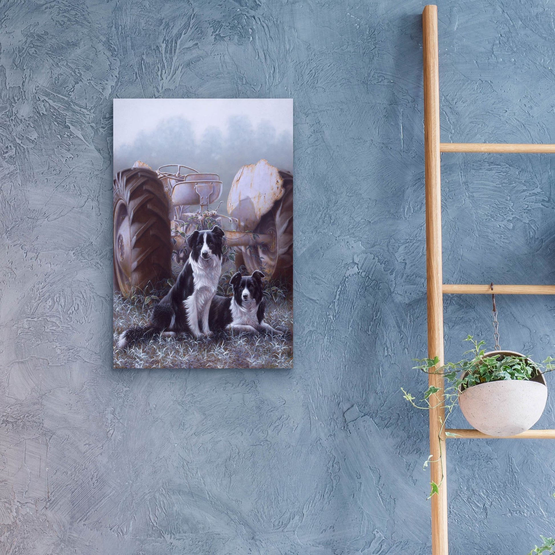 Epic Art 'Border Collies Heroes Of The Hills' by John Silver, Acrylic Glass Wall Art,16x24