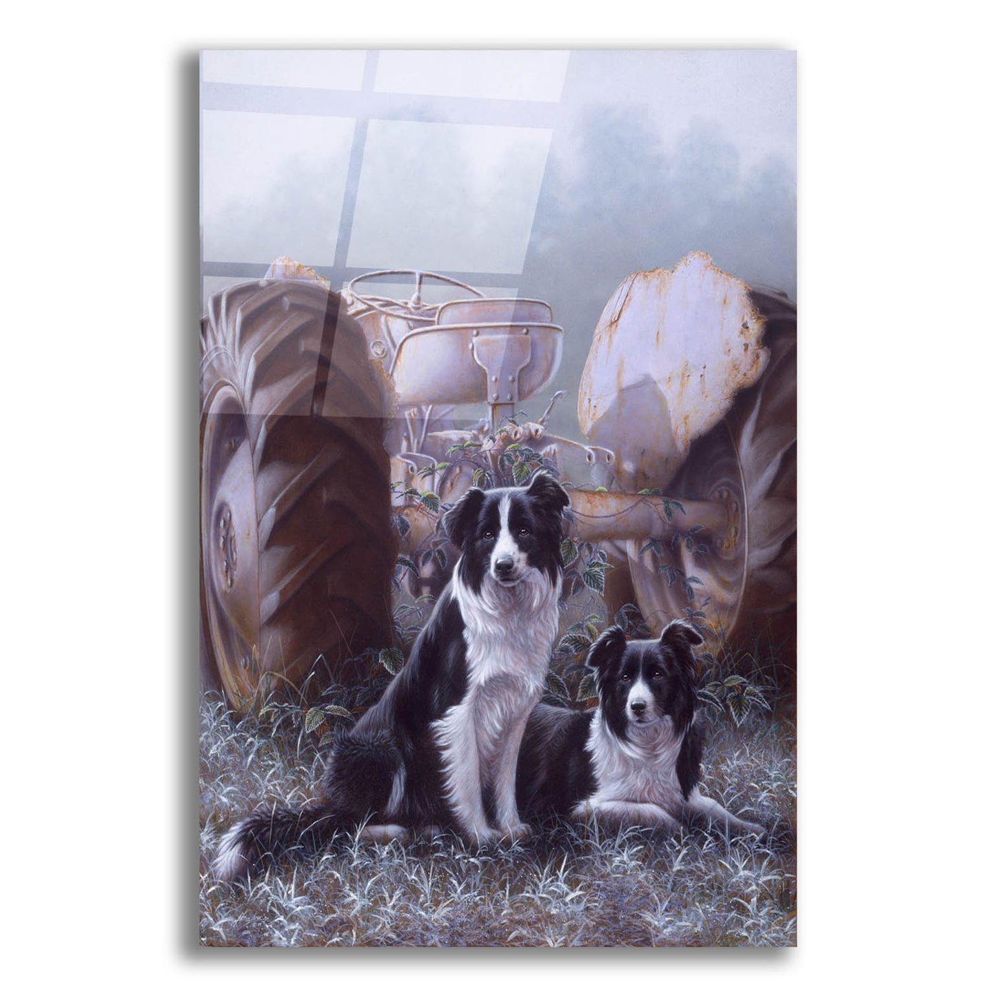 Epic Art 'Border Collies Heroes Of The Hills' by John Silver, Acrylic Glass Wall Art