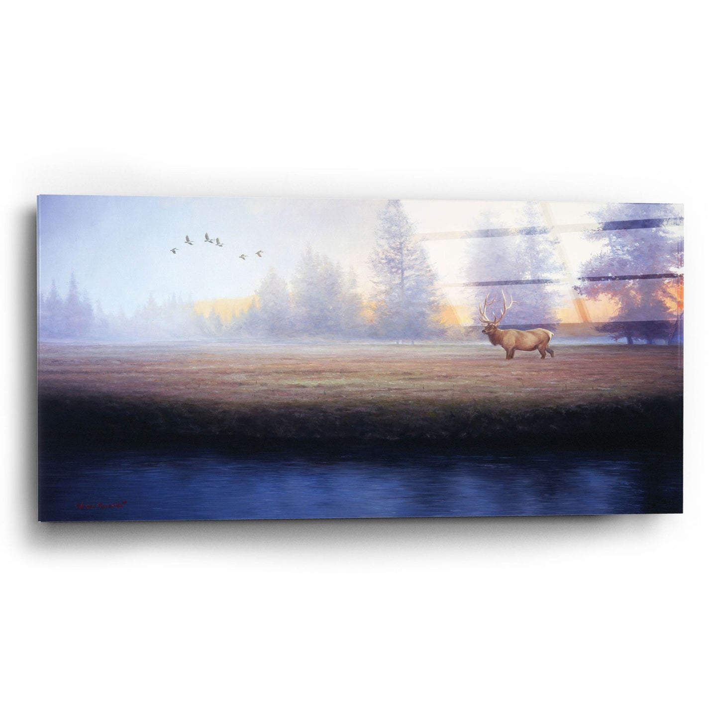 Epic Art 'Morning Splendor' by Adriano Manocchia, Acrylic Glass Wall Art,24x12