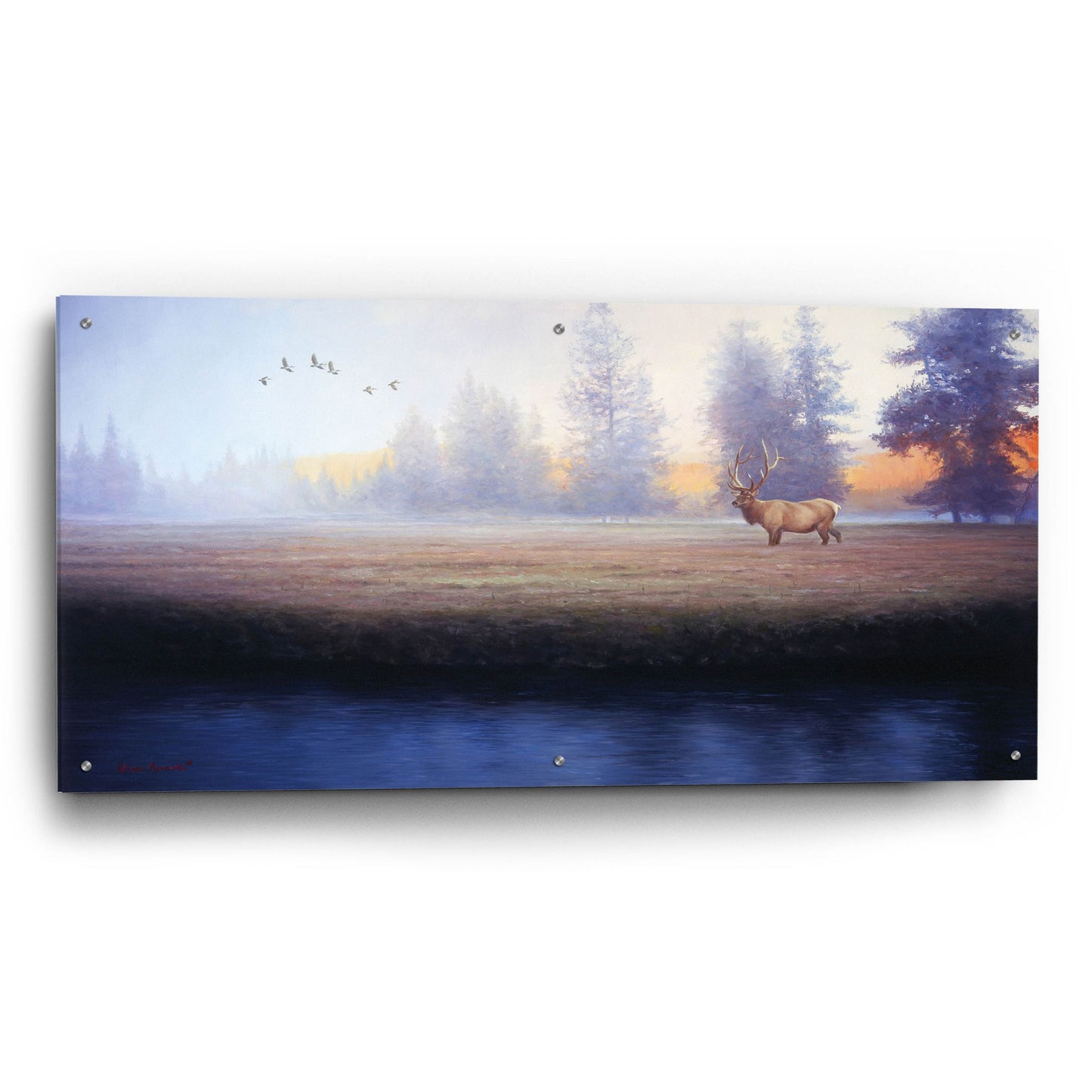 Epic Art 'Morning Splendor' by Adriano Manocchia, Acrylic Glass Wall Art,48x24