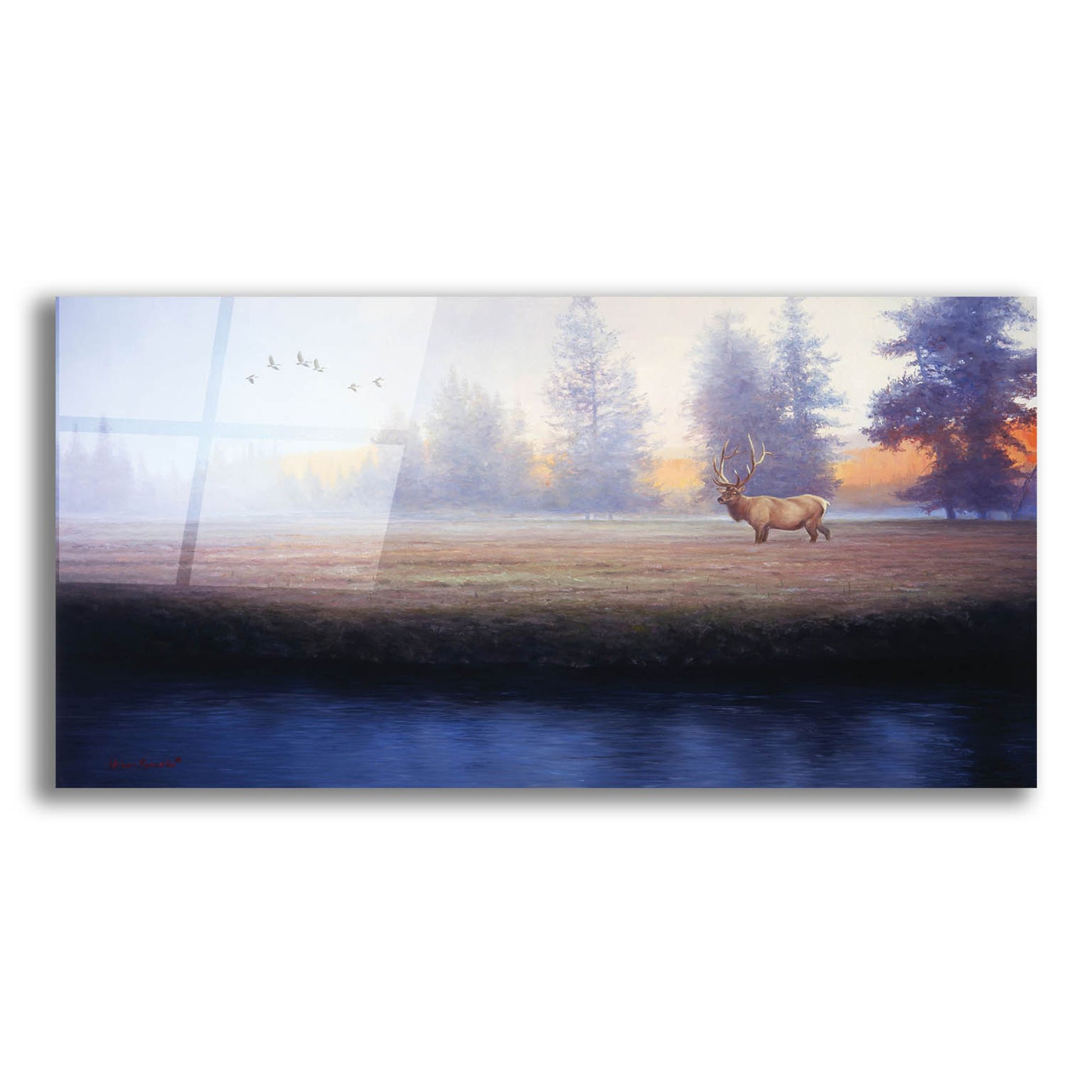 Epic Art 'Morning Splendor' by Adriano Manocchia, Acrylic Glass Wall Art