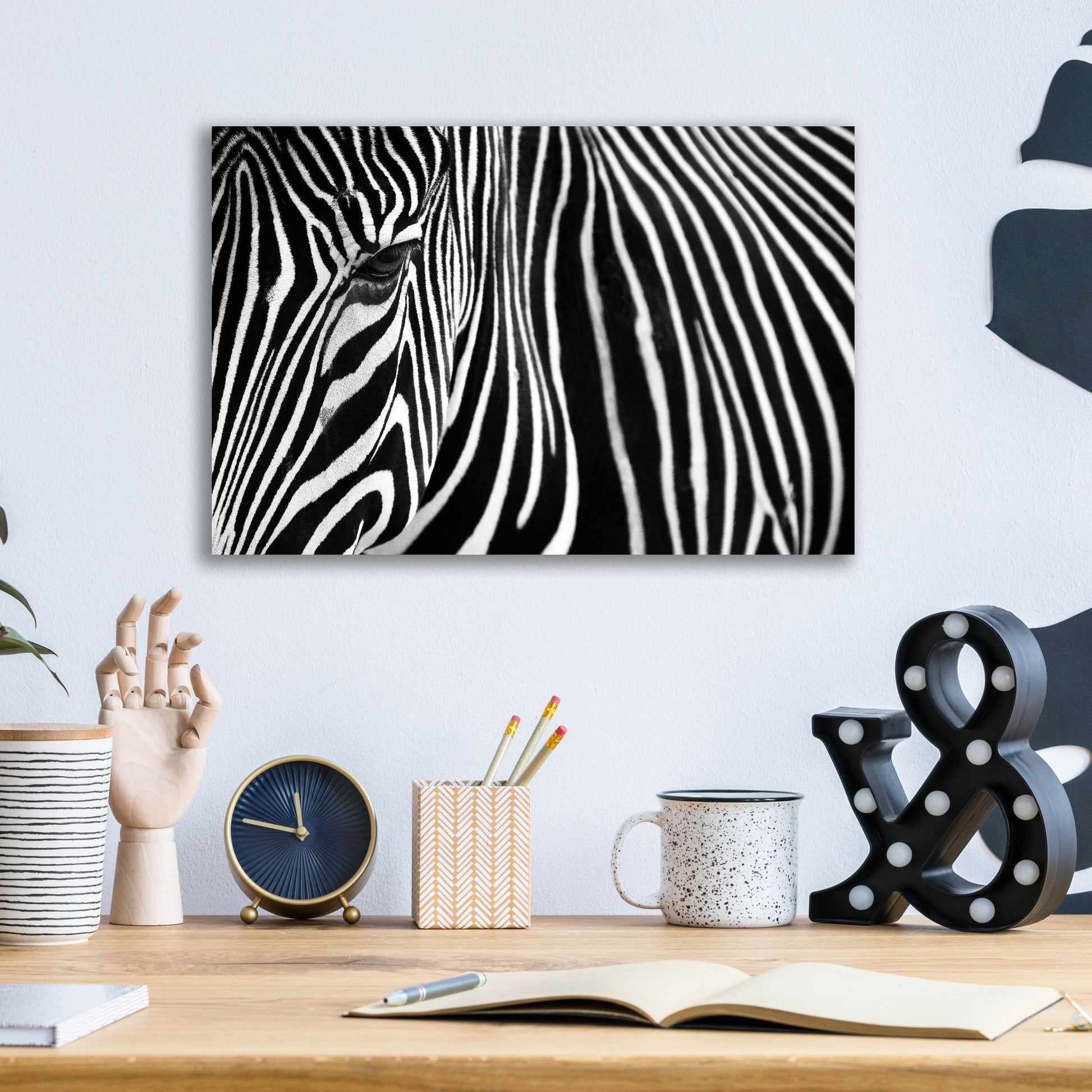 Epic Art 'Zebra in Lisbon Zoo' by Andy Mumford, Acrylic Glass Wall Art,16x12