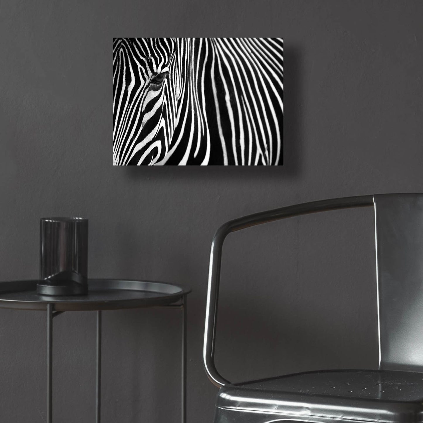 Epic Art 'Zebra in Lisbon Zoo' by Andy Mumford, Acrylic Glass Wall Art,16x12