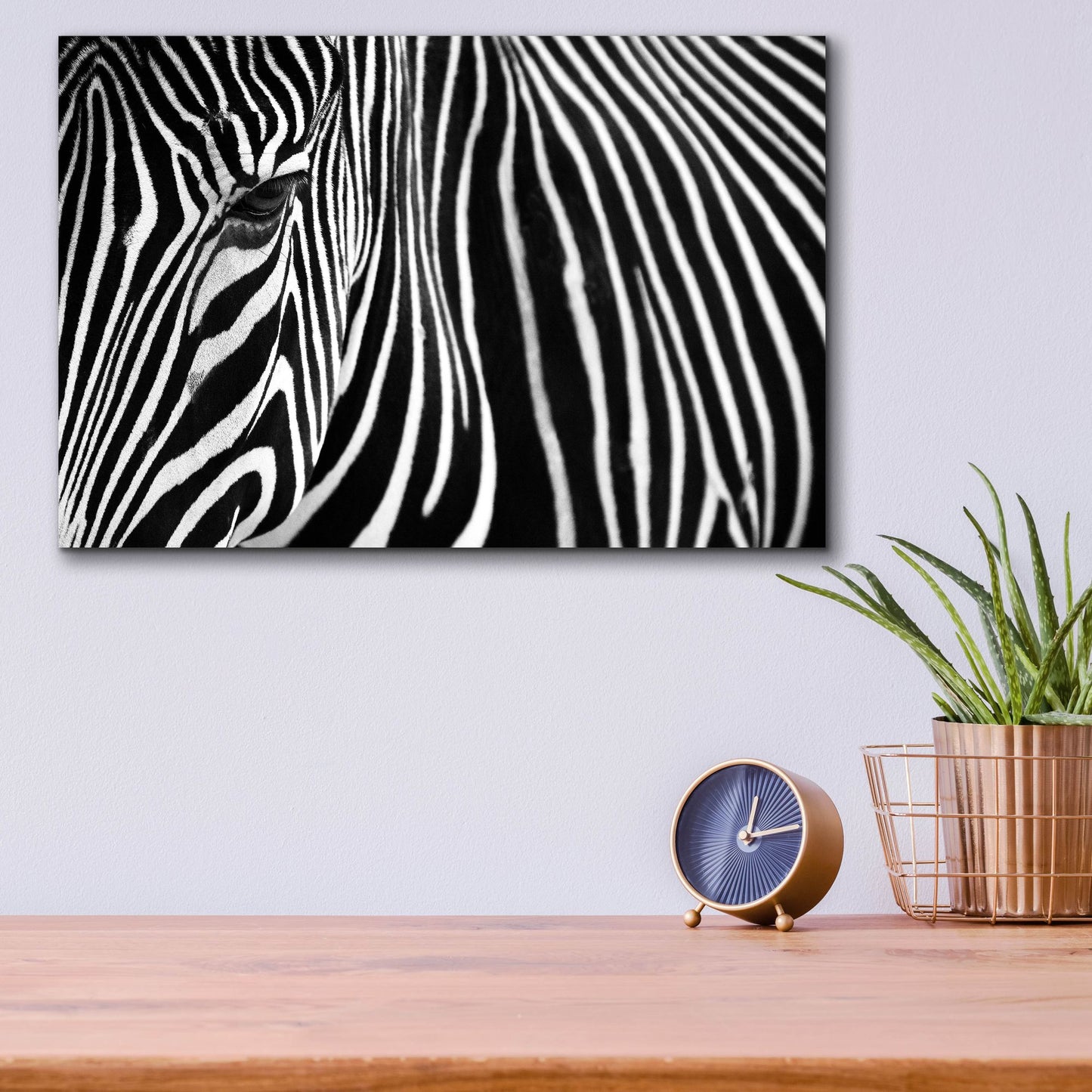 Epic Art 'Zebra in Lisbon Zoo' by Andy Mumford, Acrylic Glass Wall Art,16x12