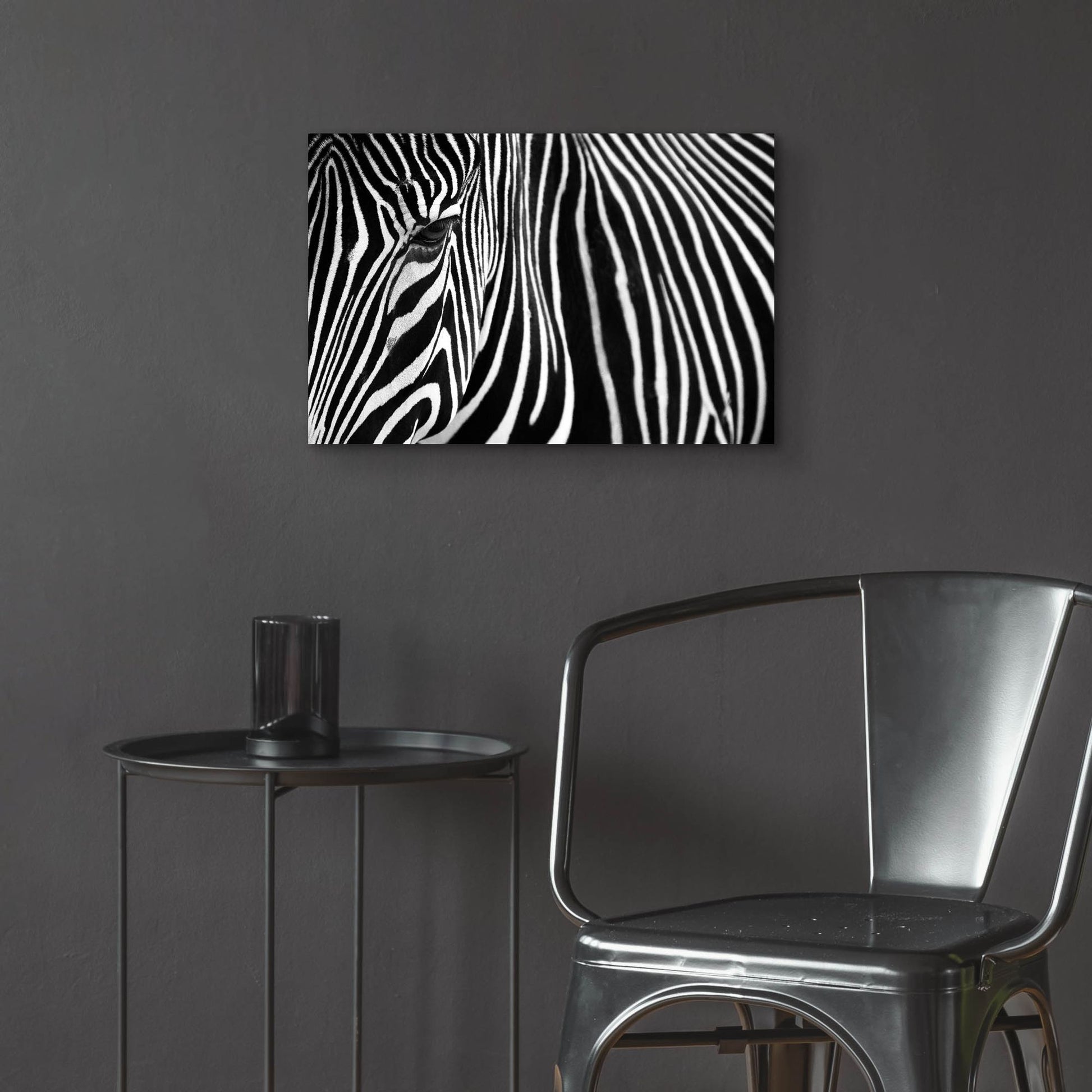 Epic Art 'Zebra in Lisbon Zoo' by Andy Mumford, Acrylic Glass Wall Art,24x16