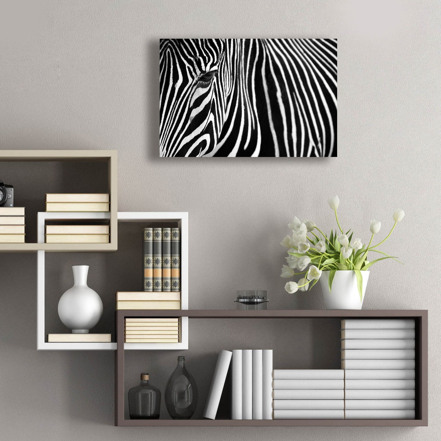 Epic Art 'Zebra in Lisbon Zoo' by Andy Mumford, Acrylic Glass Wall Art,24x16