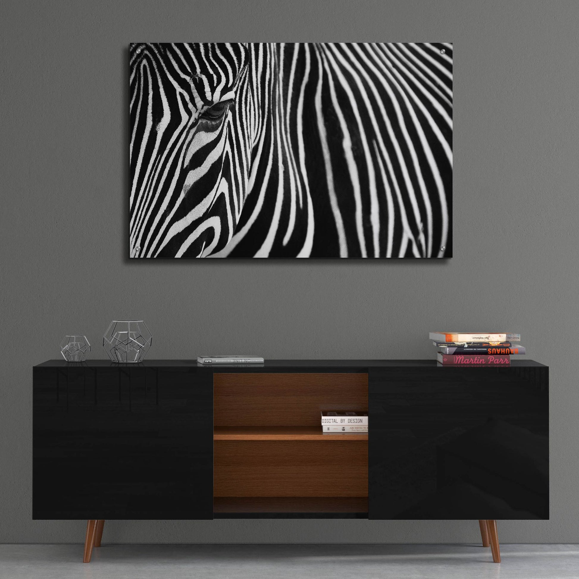 Epic Art 'Zebra in Lisbon Zoo' by Andy Mumford, Acrylic Glass Wall Art,36x24