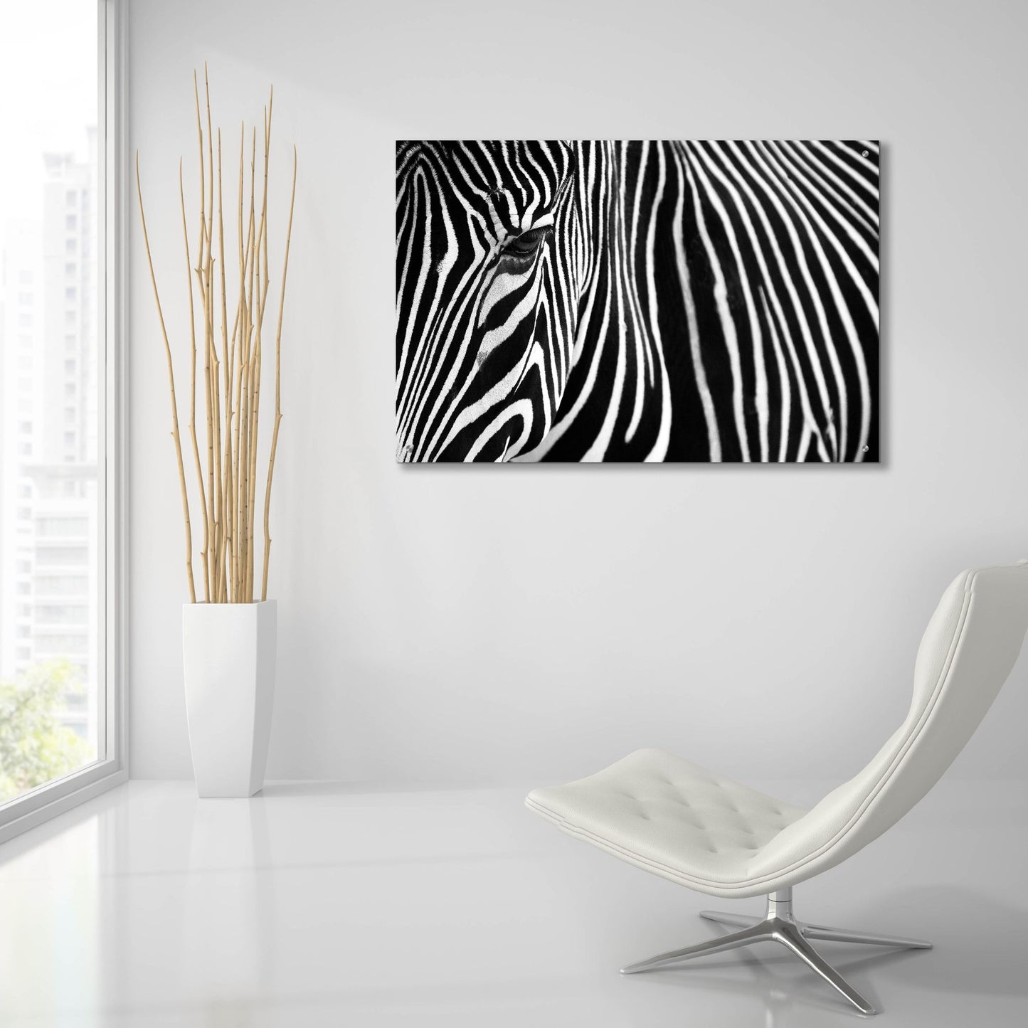 Epic Art 'Zebra in Lisbon Zoo' by Andy Mumford, Acrylic Glass Wall Art,36x24