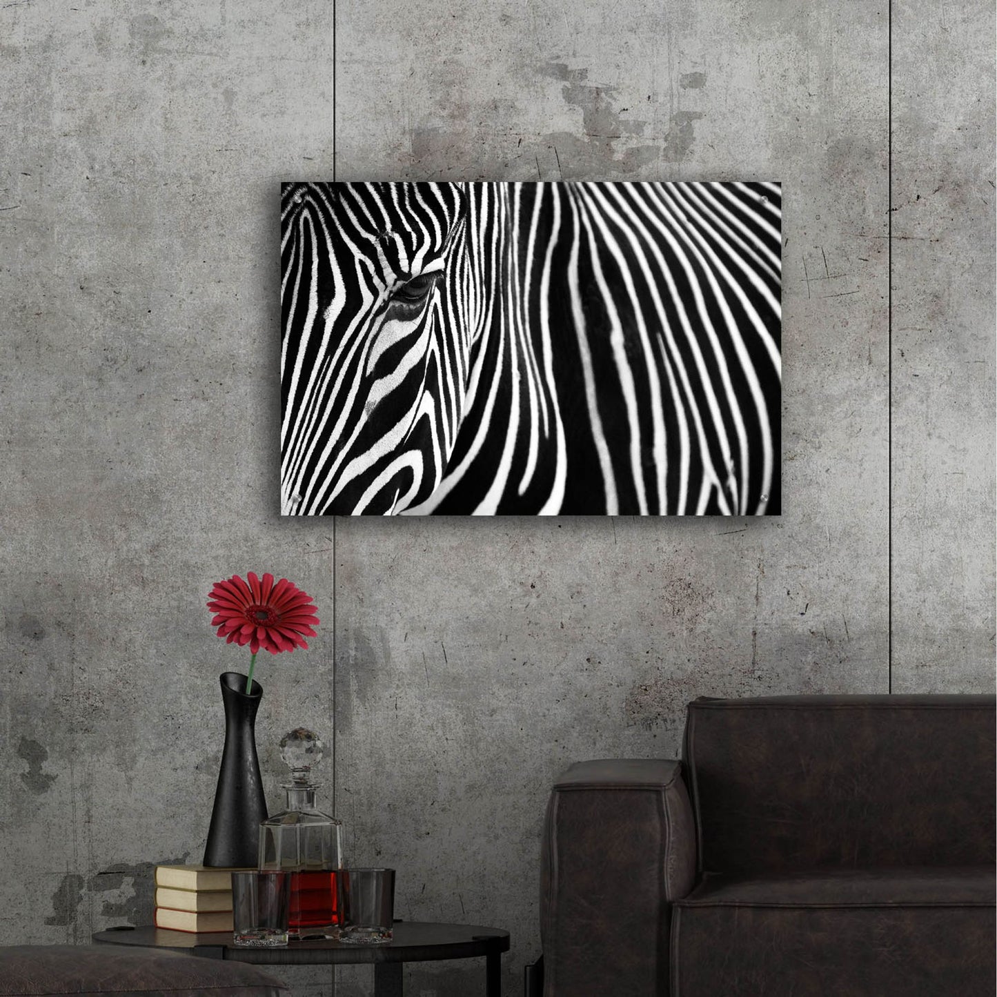 Epic Art 'Zebra in Lisbon Zoo' by Andy Mumford, Acrylic Glass Wall Art,36x24