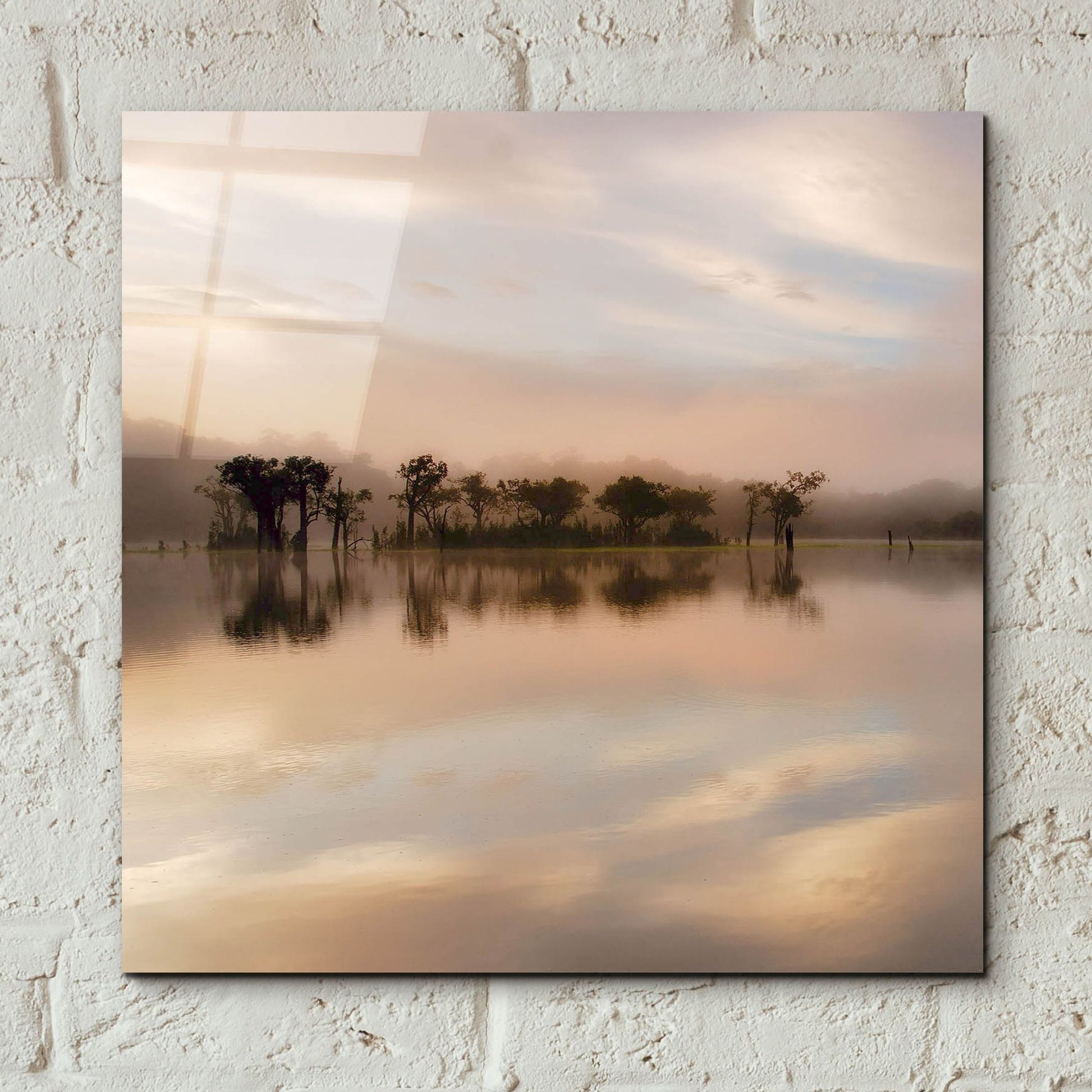 Epic Art 'Dawn Mist on the Amazon' by Andy Mumford, Acrylic Glass Wall Art,12x12