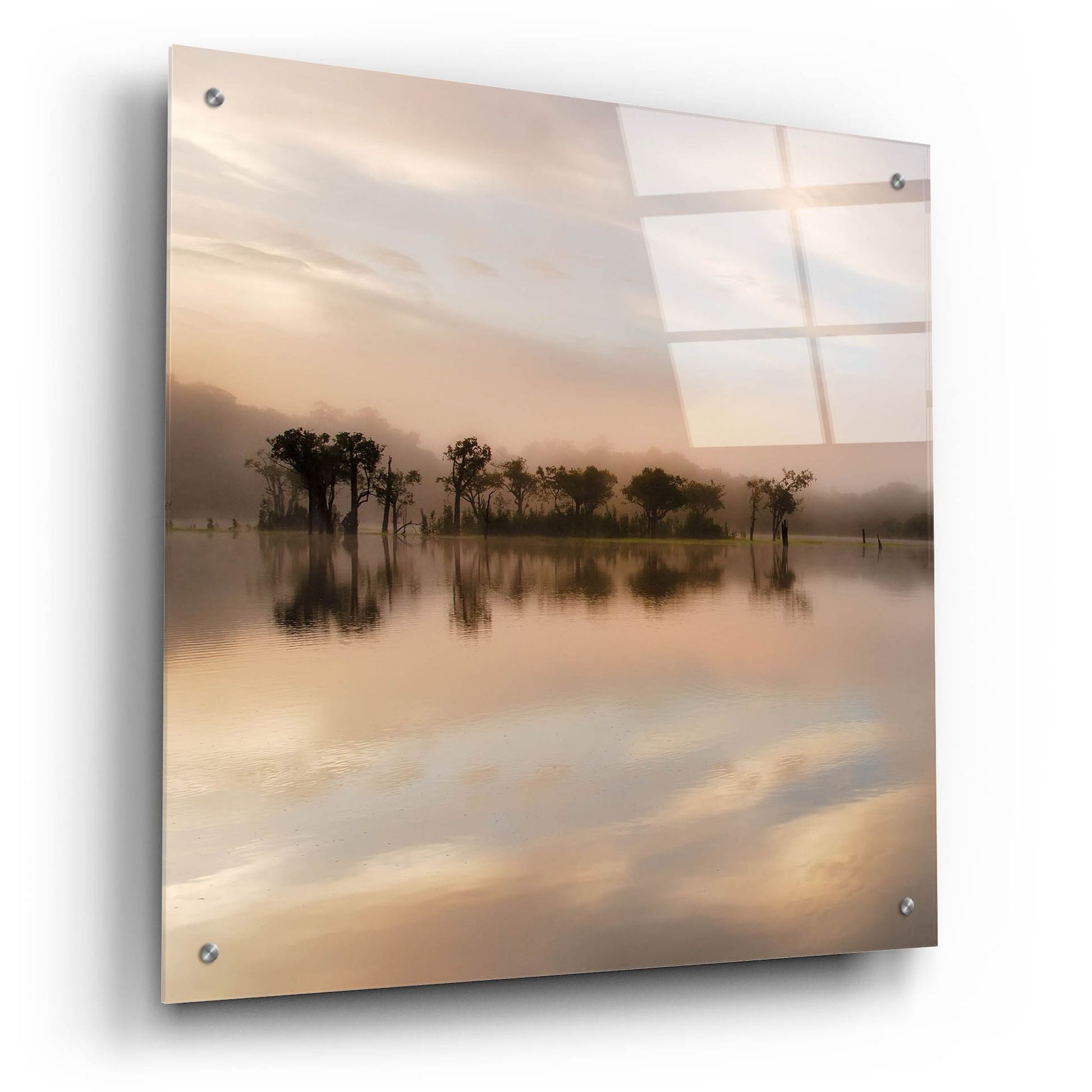 Epic Art 'Dawn Mist on the Amazon' by Andy Mumford, Acrylic Glass Wall Art,24x24
