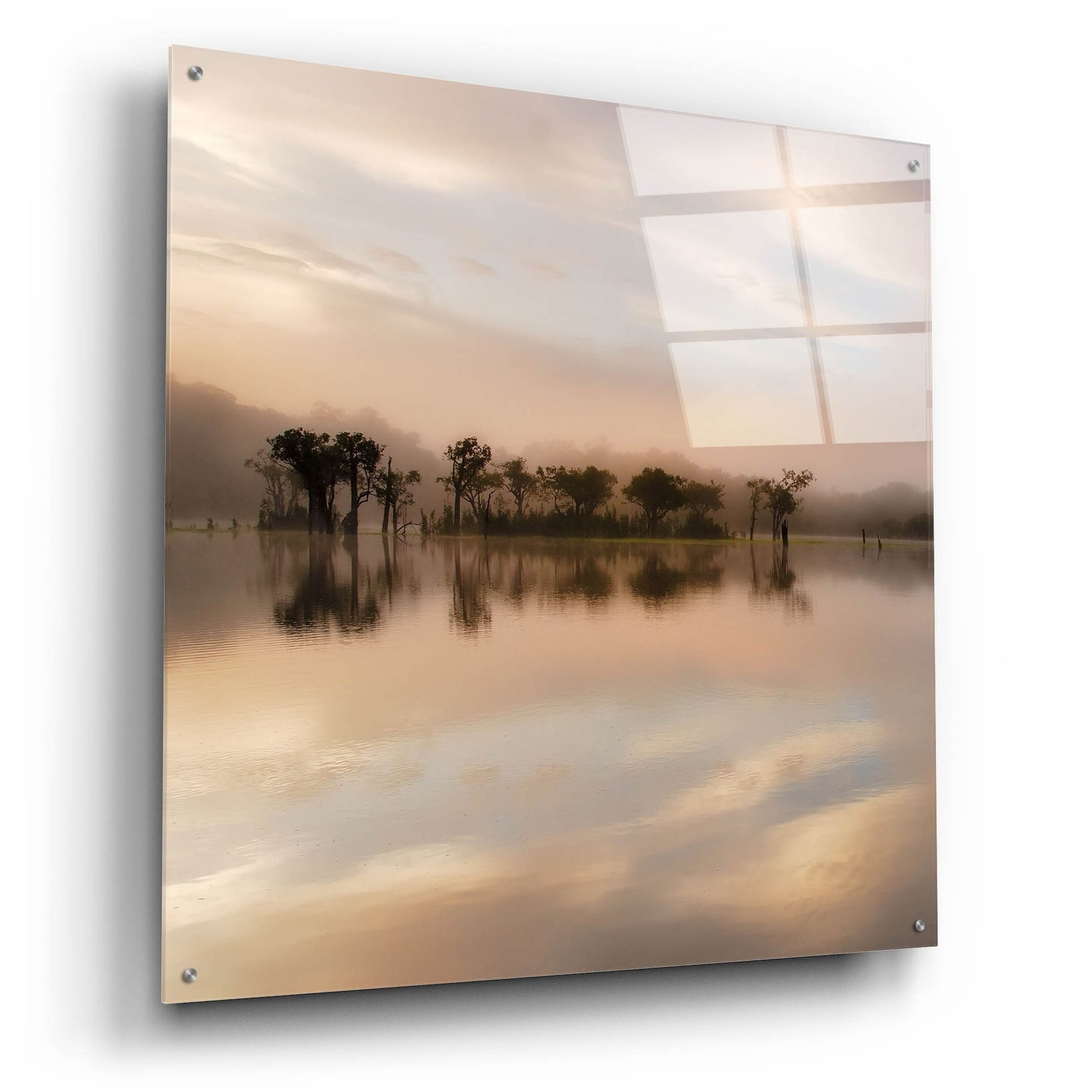 Epic Art 'Dawn Mist on the Amazon' by Andy Mumford, Acrylic Glass Wall Art,36x36