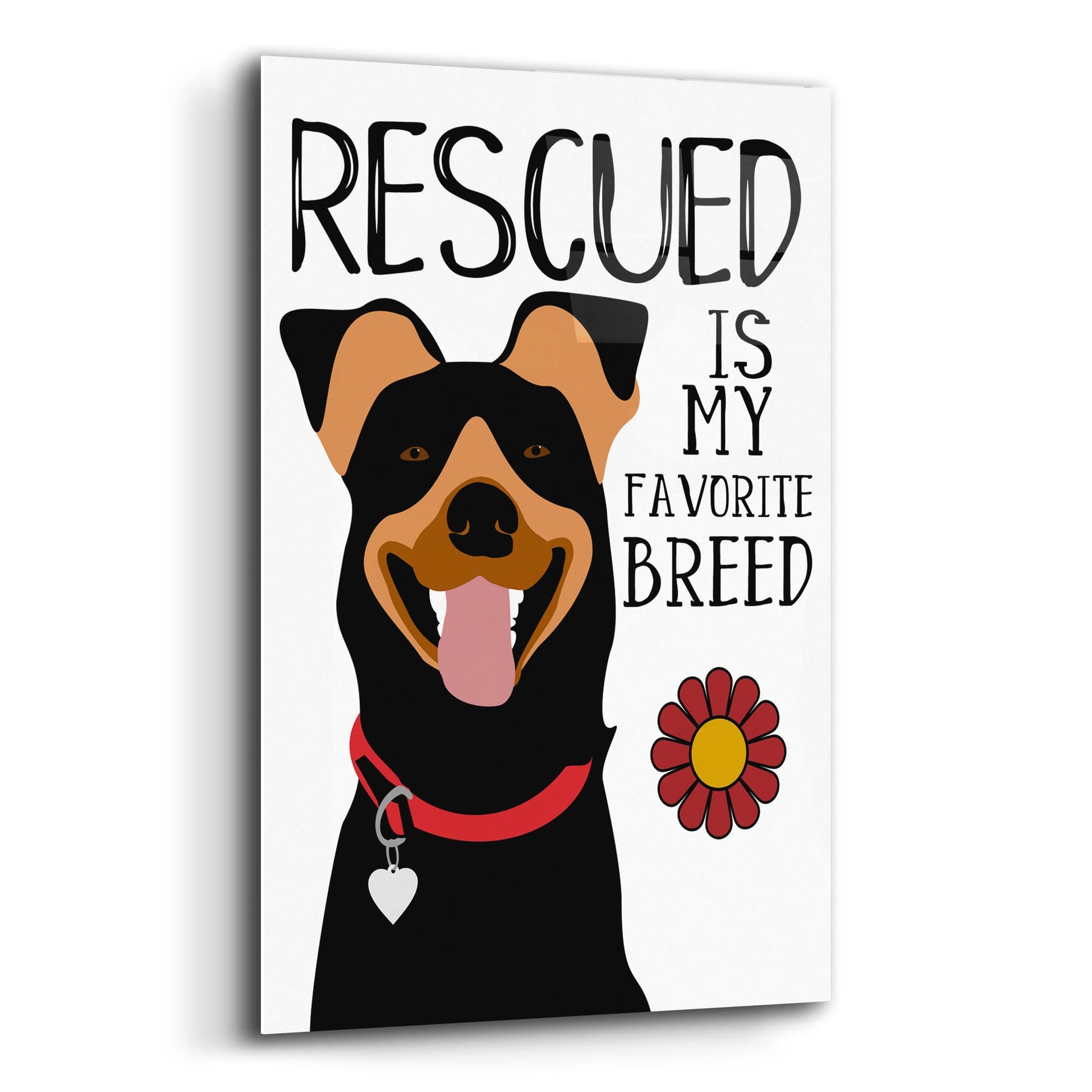 Epic Art 'Rescued Is My Favorite Breed' by Ginger Oliphant, Acrylic Glass Wall Art,12x16