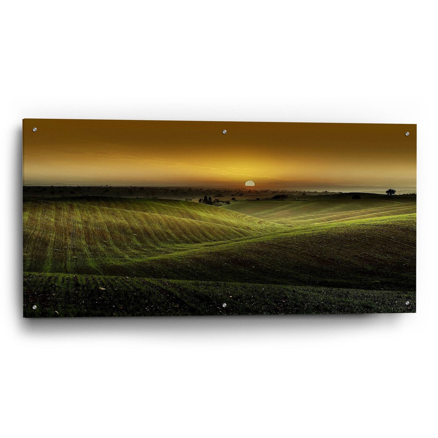 Epic Art 'Alentejo Sunset' by Goncalves, Acrylic Glass Wall Art,48x24