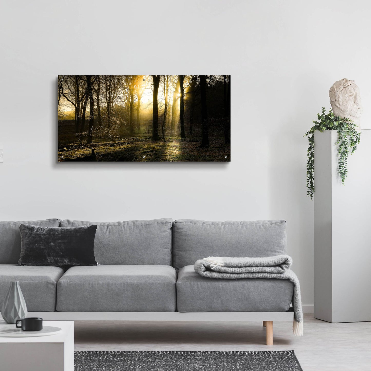 Epic Art 'Autumn Lights' by Goncalves, Acrylic Glass Wall Art,48x24