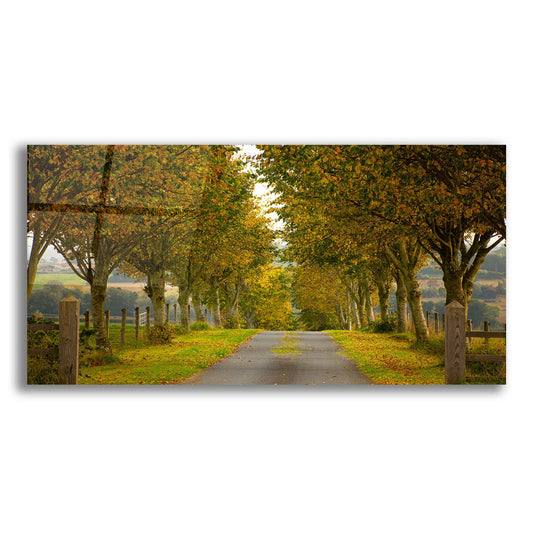 Epic Art 'Colors Of Autumn' by Goncalves, Acrylic Glass Wall Art