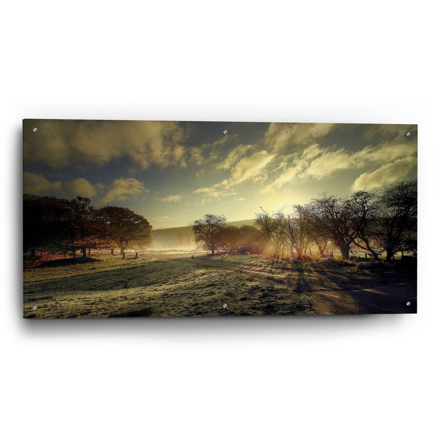 Epic Art 'Here Comes The Sun' by Goncalves, Acrylic Glass Wall Art,48x24