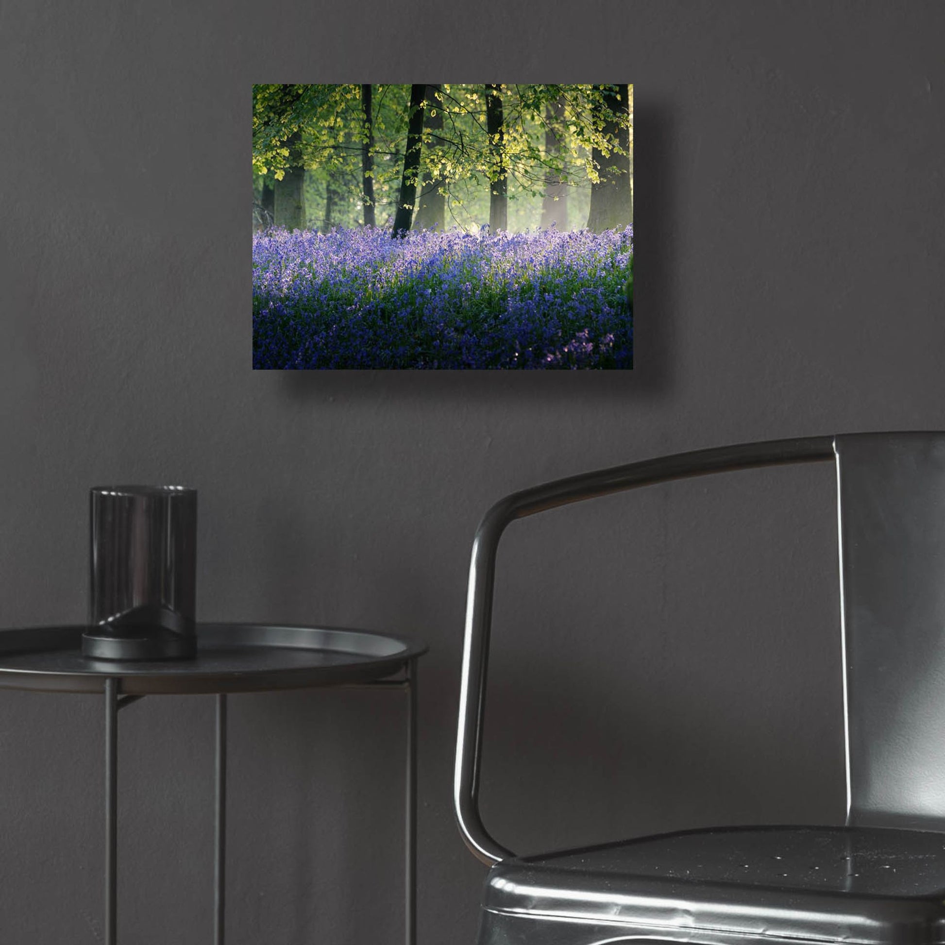 Epic Art 'Last Of The Bluebells' by Goncalves, Acrylic Glass Wall Art,16x12