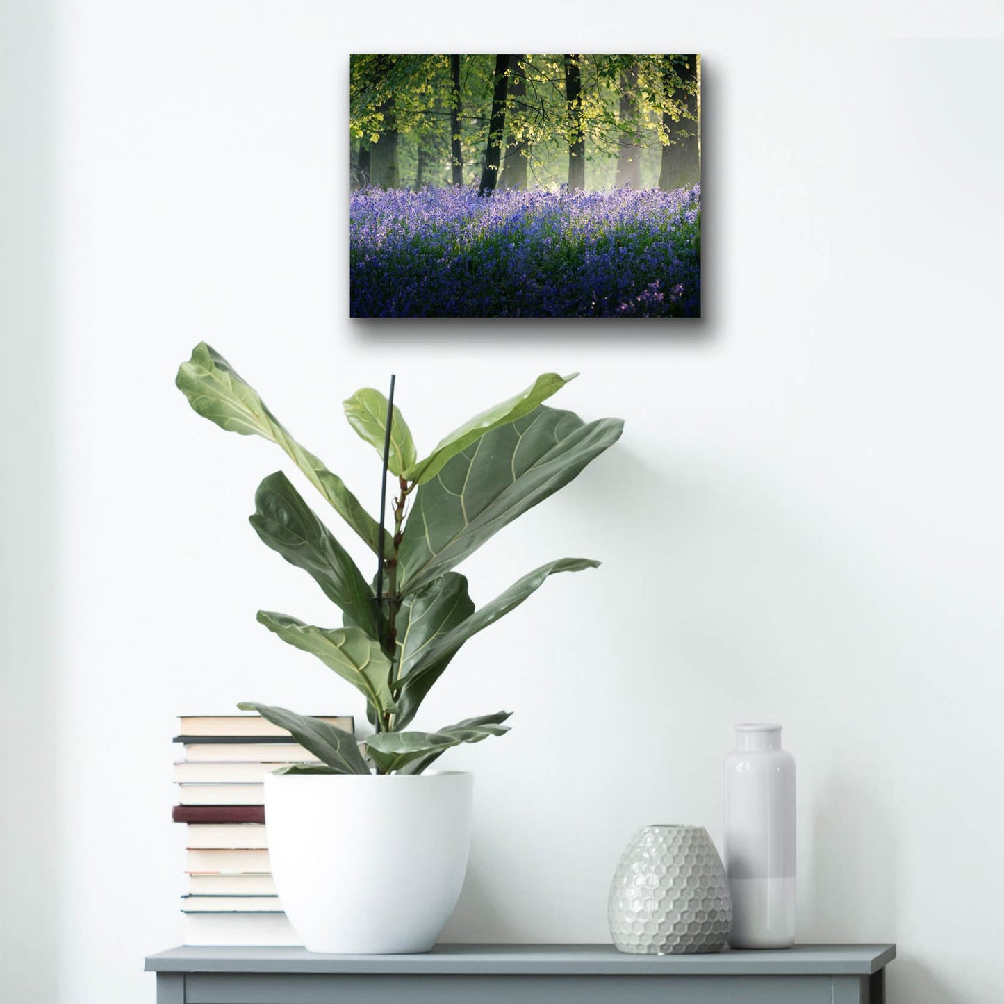 Epic Art 'Last Of The Bluebells' by Goncalves, Acrylic Glass Wall Art,16x12