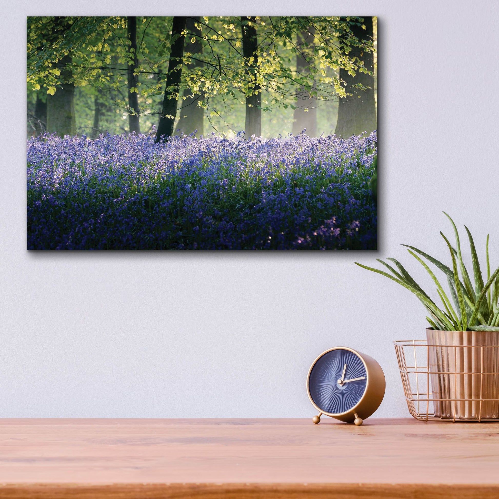 Epic Art 'Last Of The Bluebells' by Goncalves, Acrylic Glass Wall Art,16x12