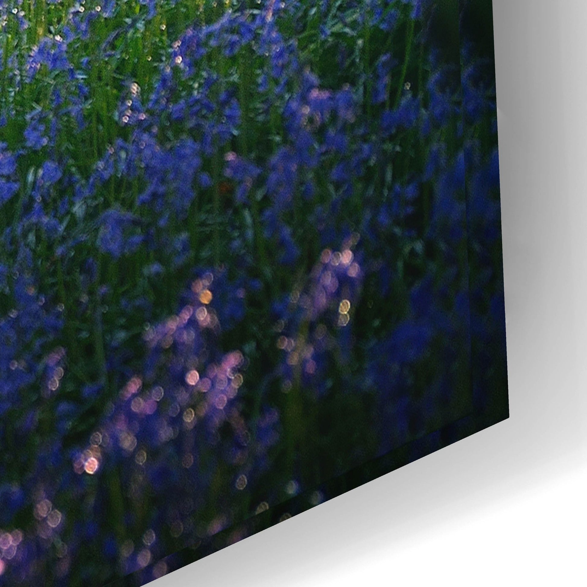 Epic Art 'Last Of The Bluebells' by Goncalves, Acrylic Glass Wall Art,24x16