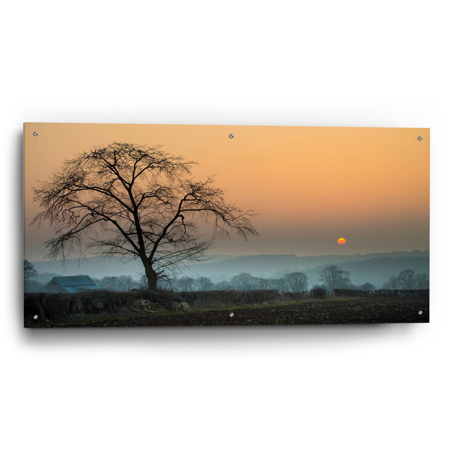 Epic Art 'Morning Sun' by Goncalves, Acrylic Glass Wall Art,48x24